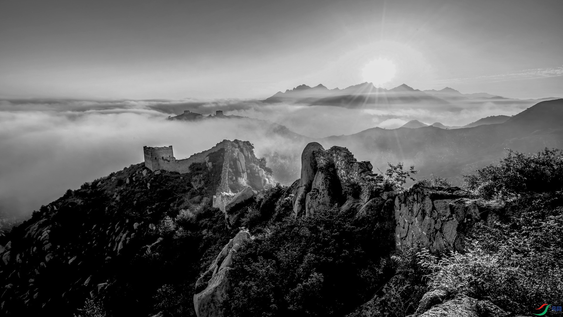 8_XXL1166-����ǿ-NR ���� 2 2 ����99 2 ����.jpeg