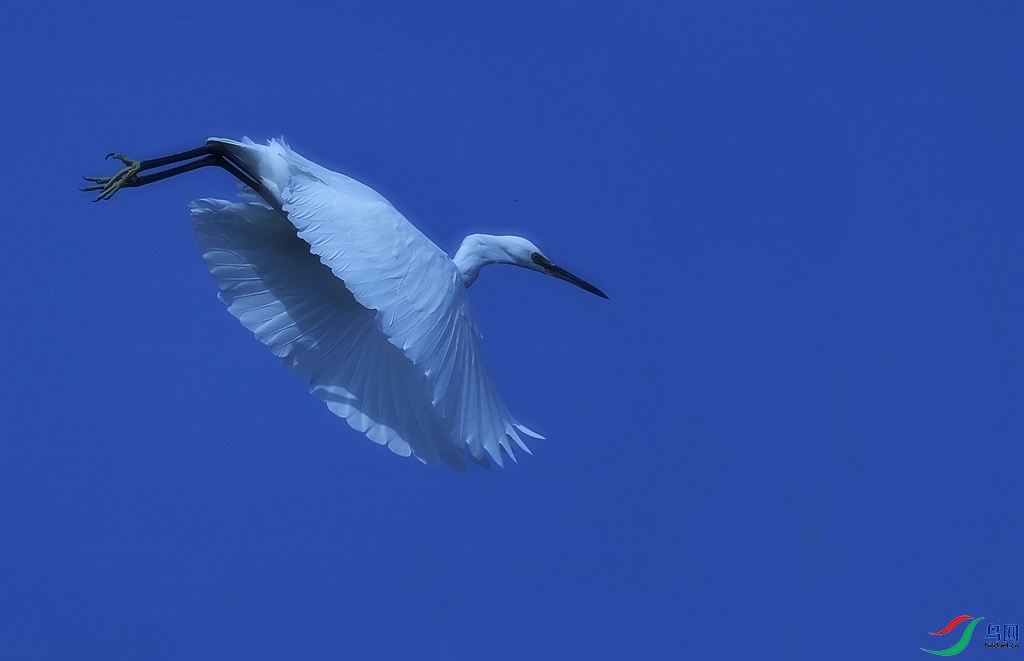 1P3A2360.JPG