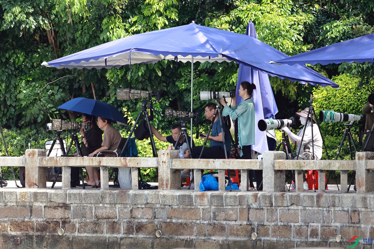 EOS_7967_����.jpg