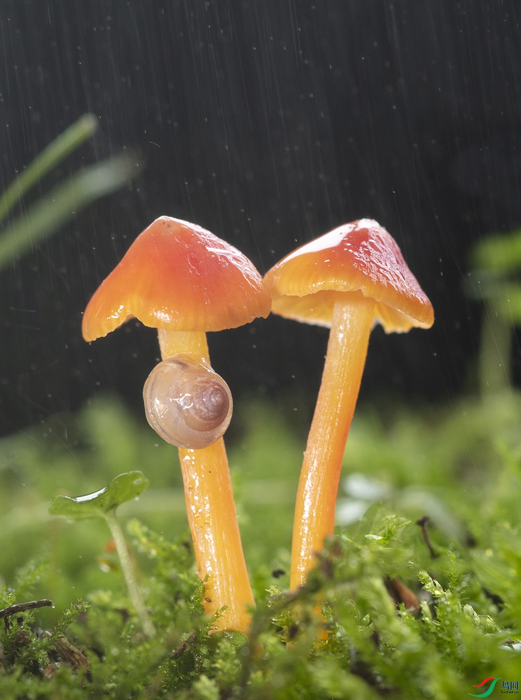 037A9511 ����.jpg0.jpg