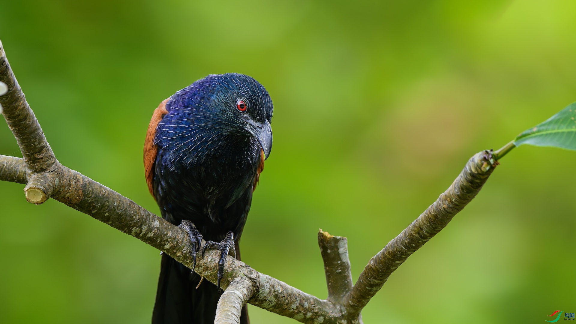 3_XXL2892-����ǿ-NR ����.jpeg