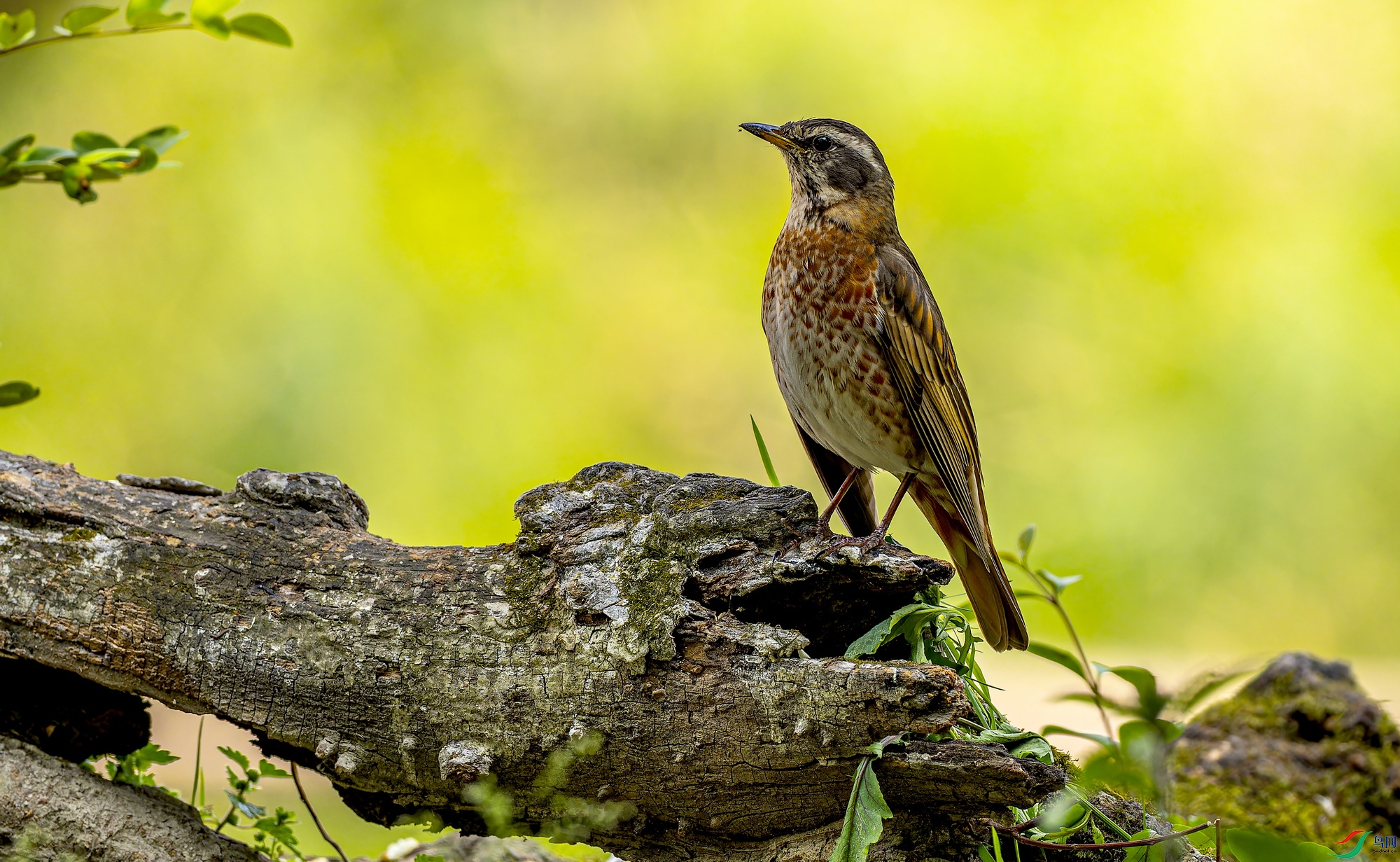 ��β� (109)-1.jpg