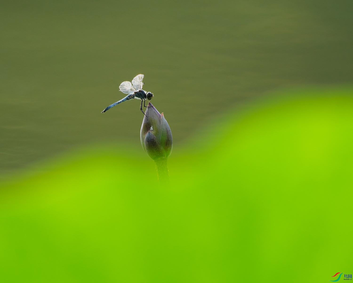 DSCF5653.jpg