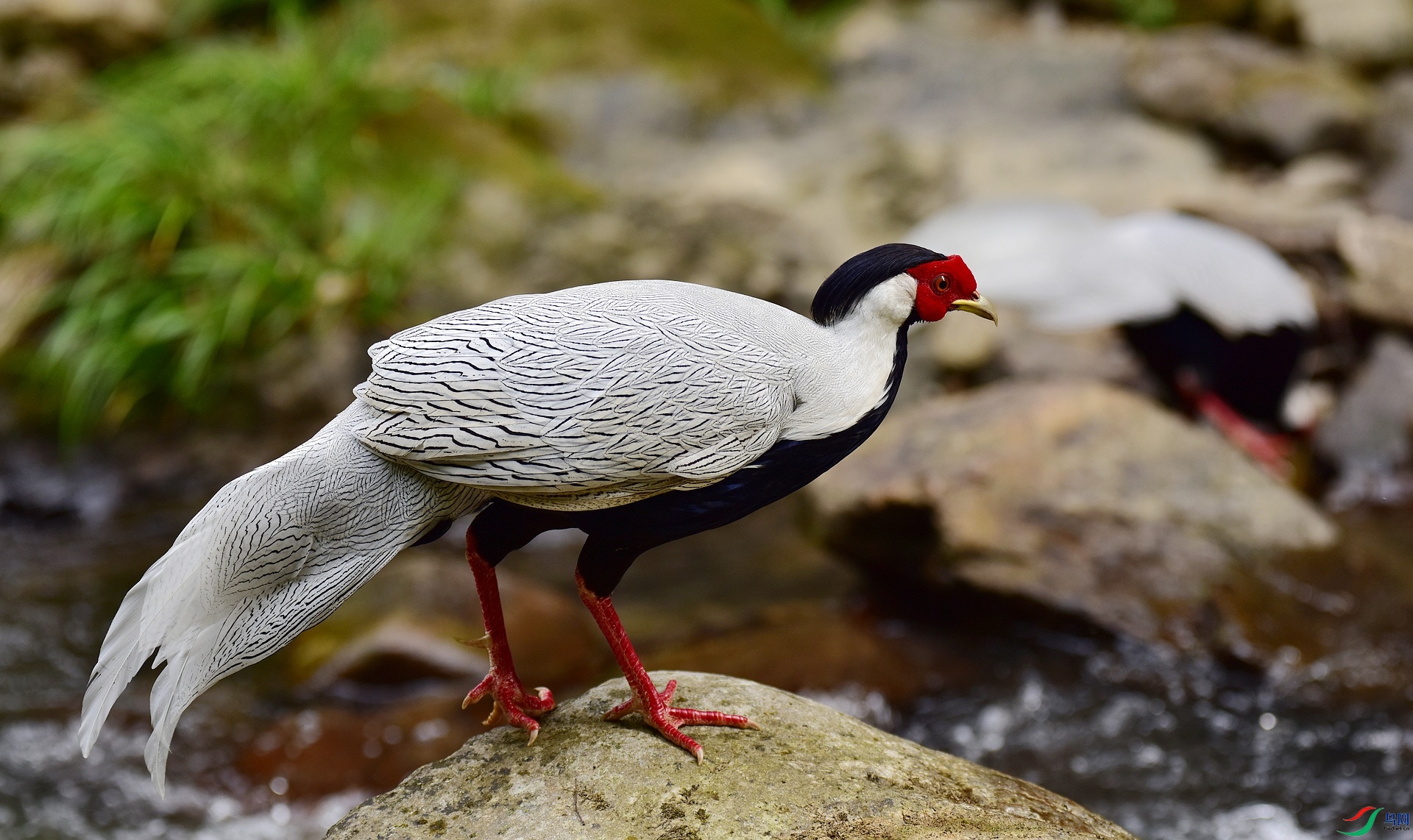 D8I_0052.jpg