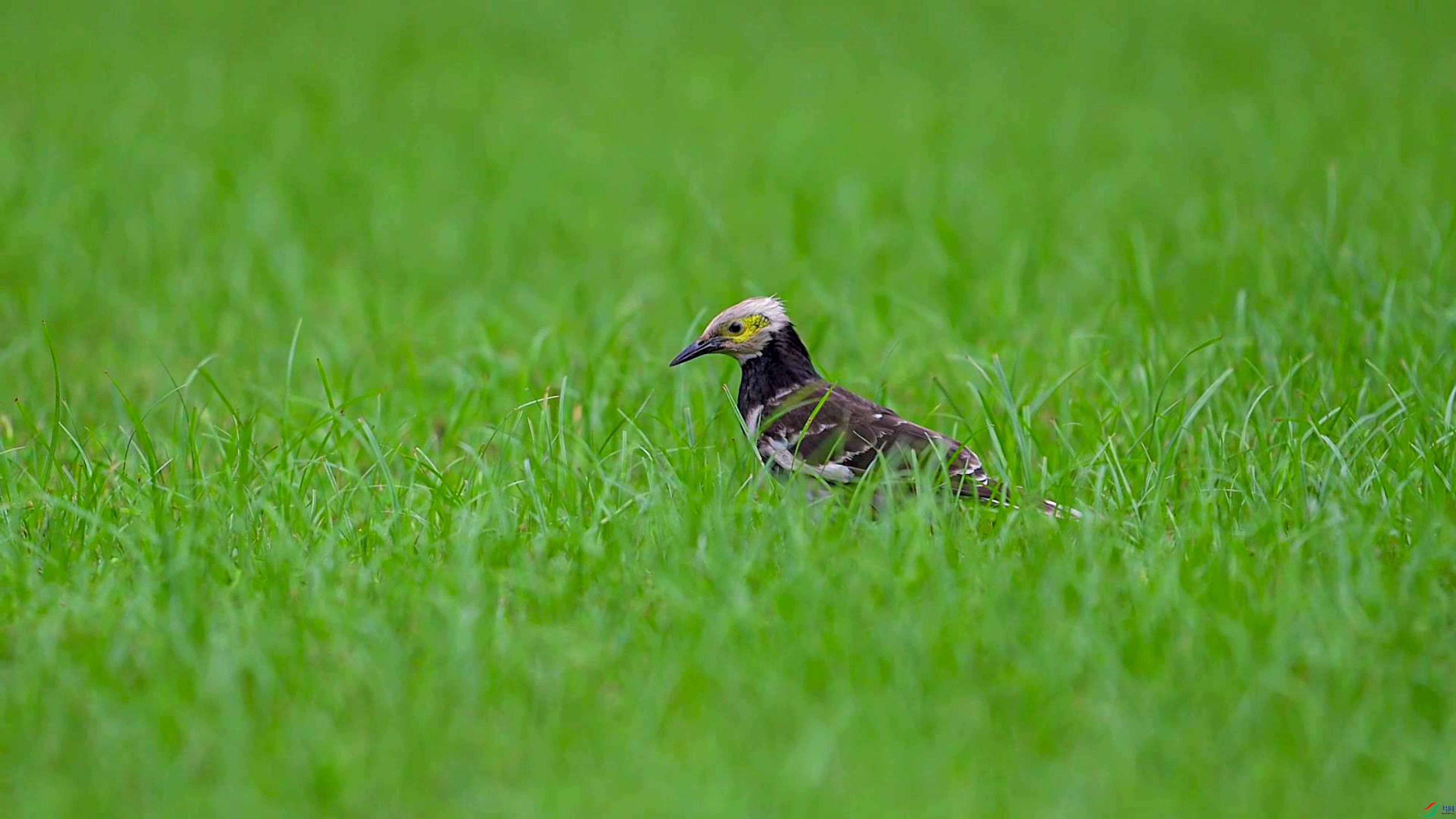 2024-08-19 22-14-43_1.jpg