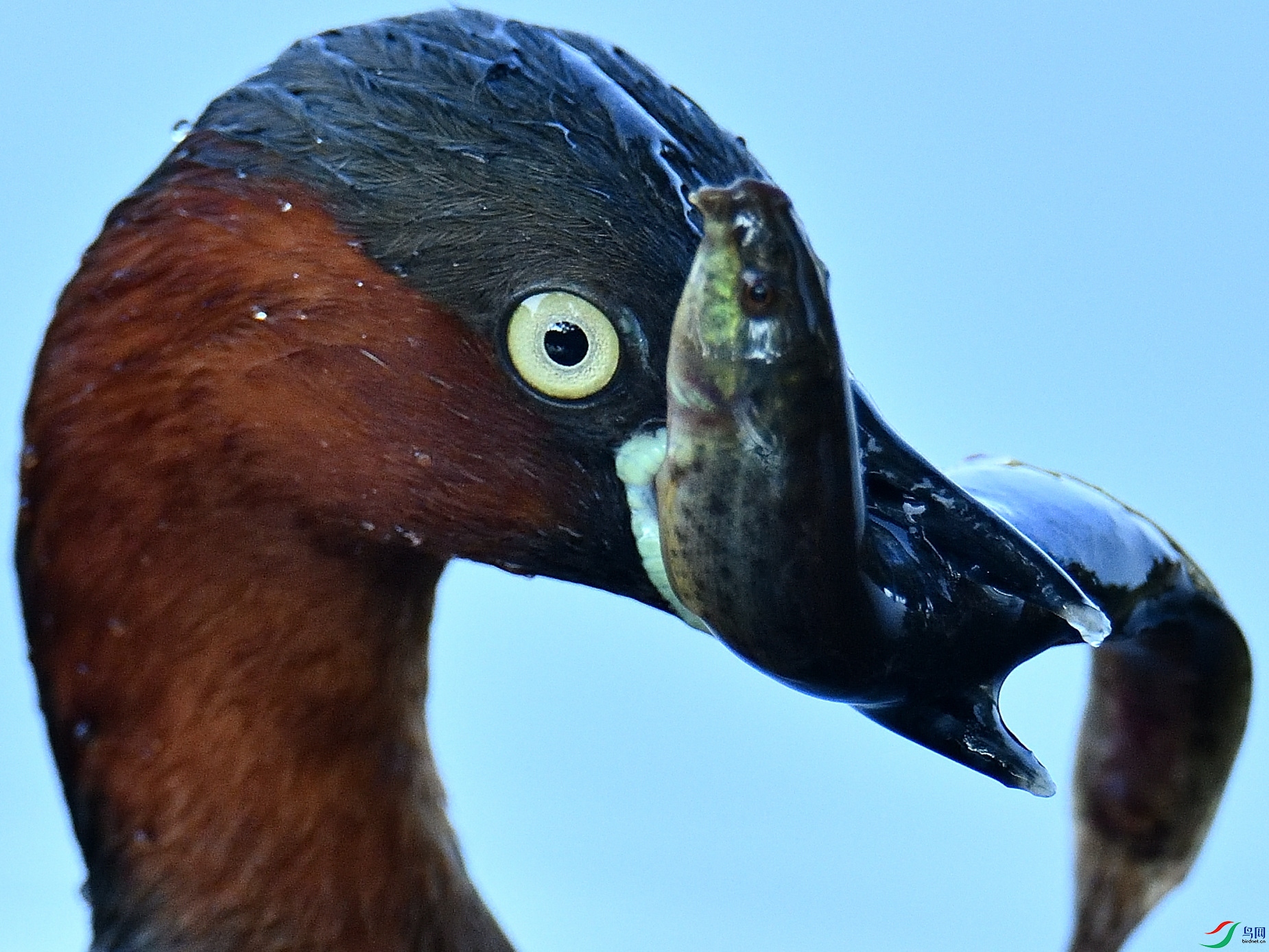 DSC_5177.JPG