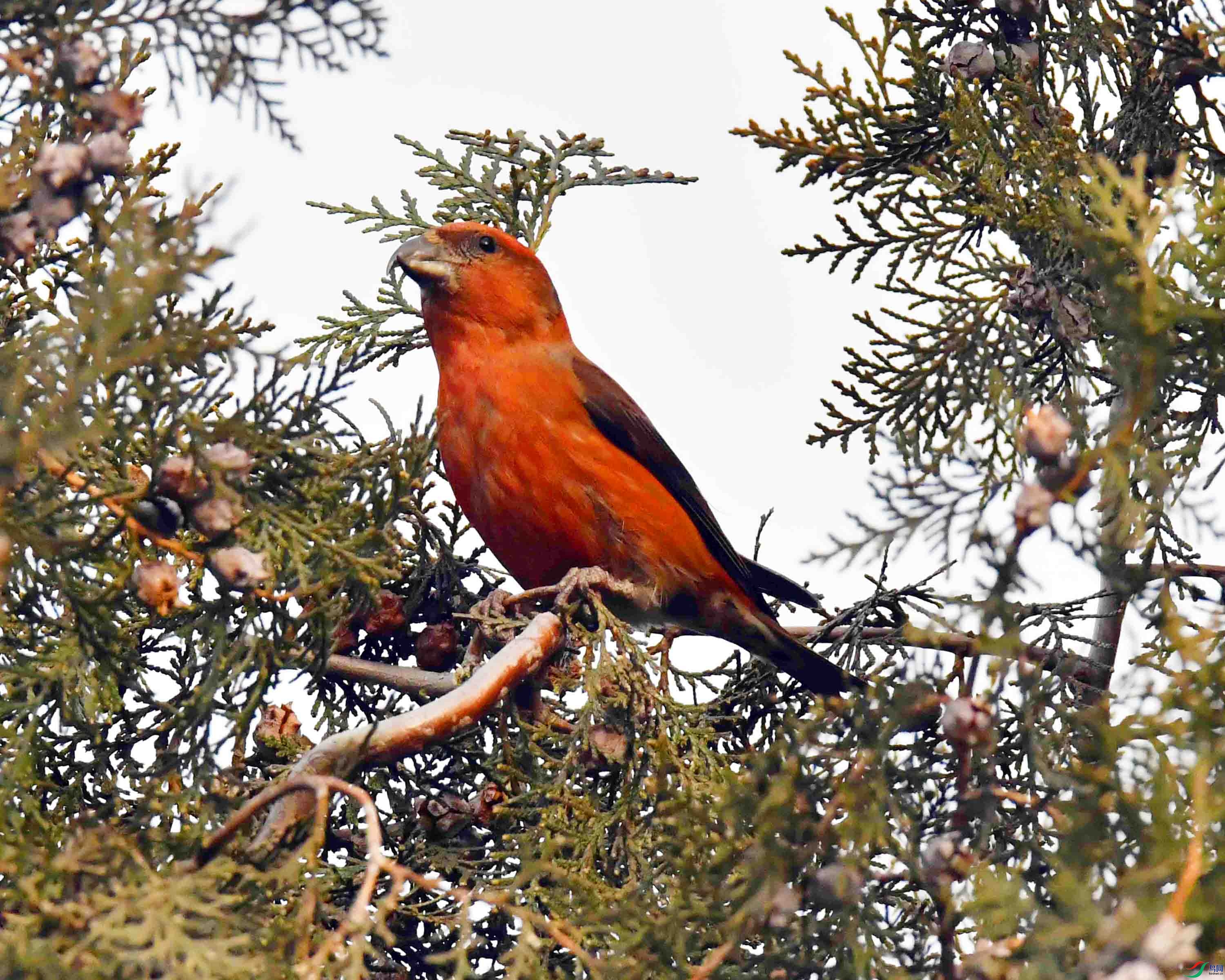 DSC_5046.JPG