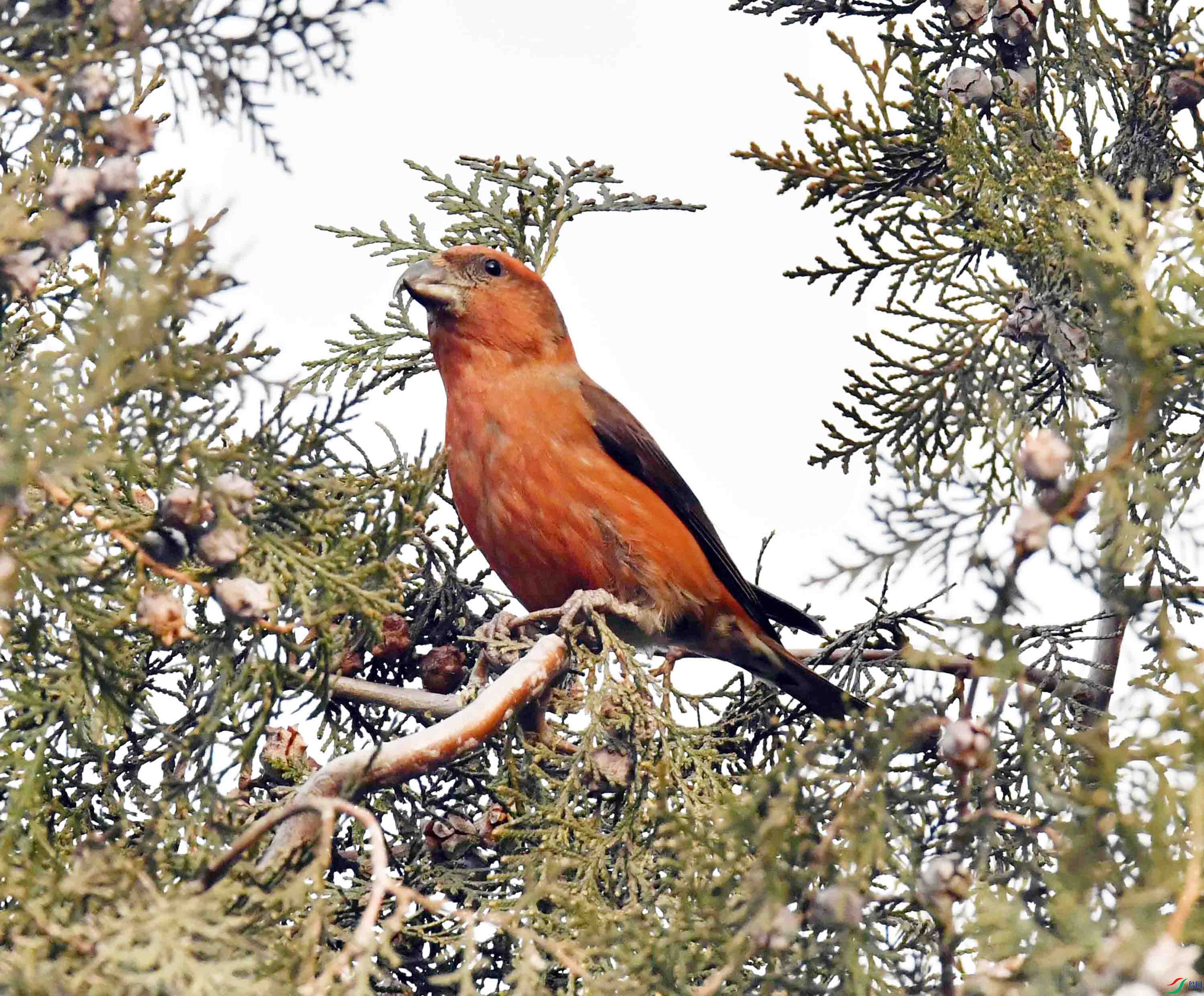 DSC_5047.JPG