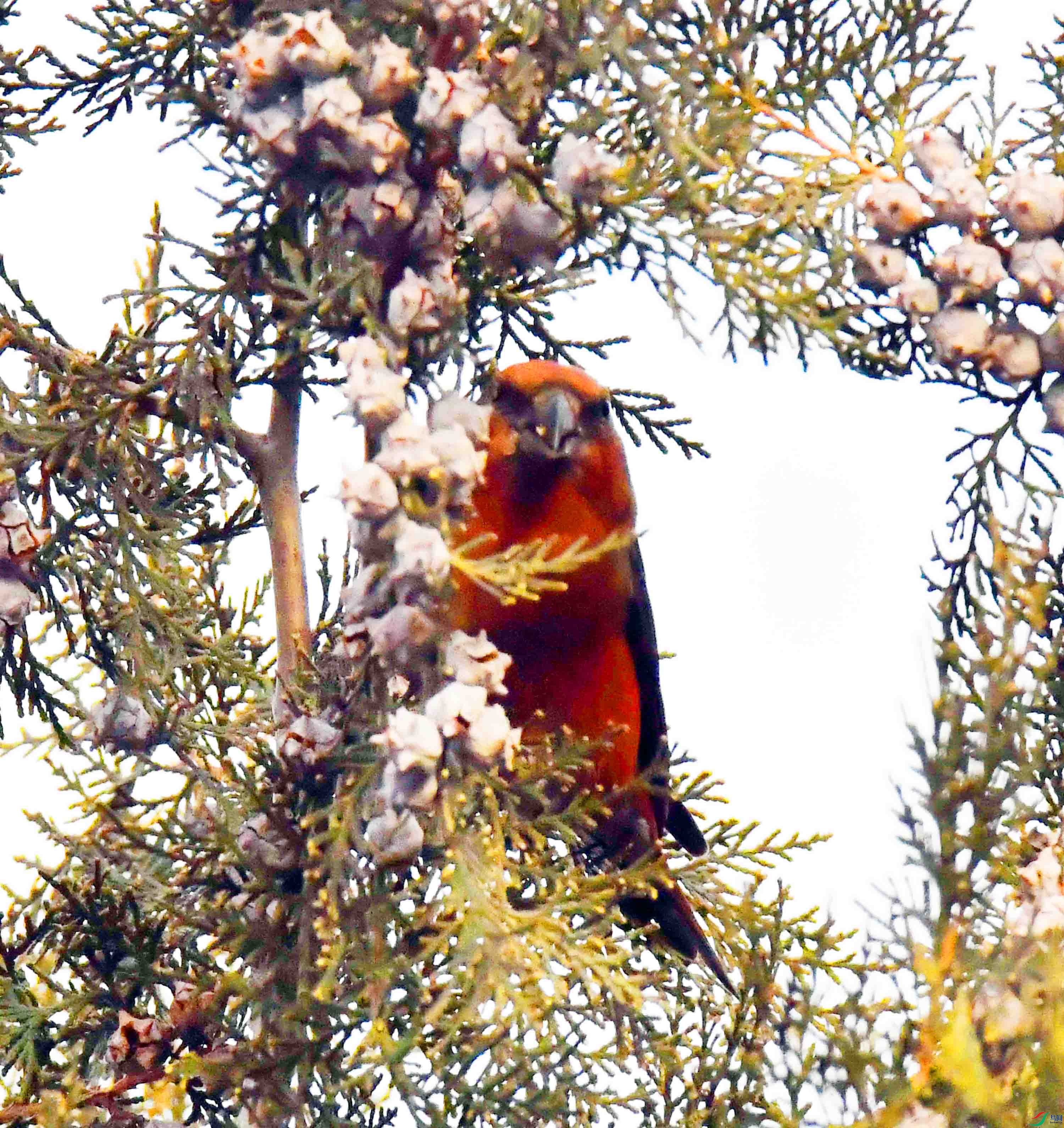 DSC_5174.JPG