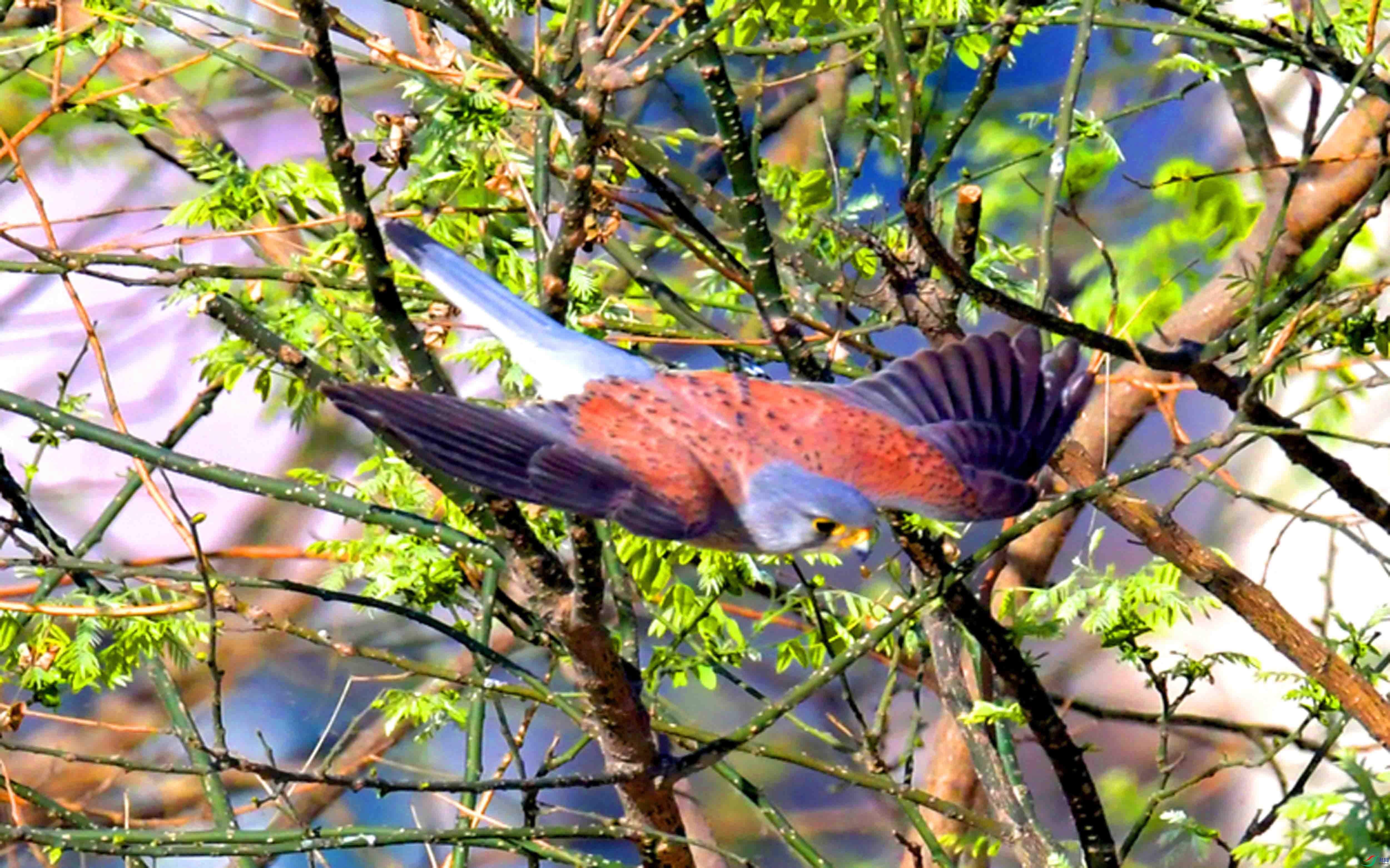 DSC_5713.JPG