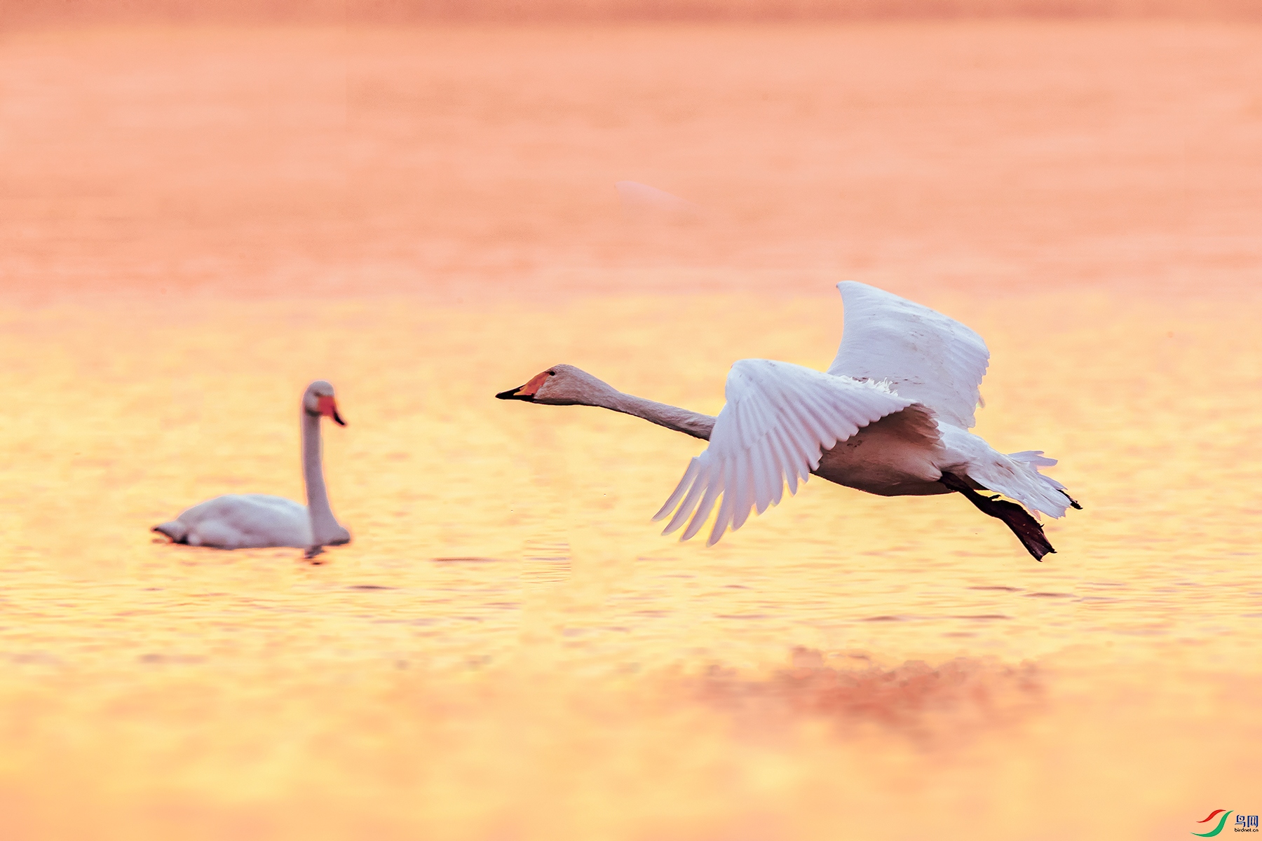 �����----��Լ�ڳ���