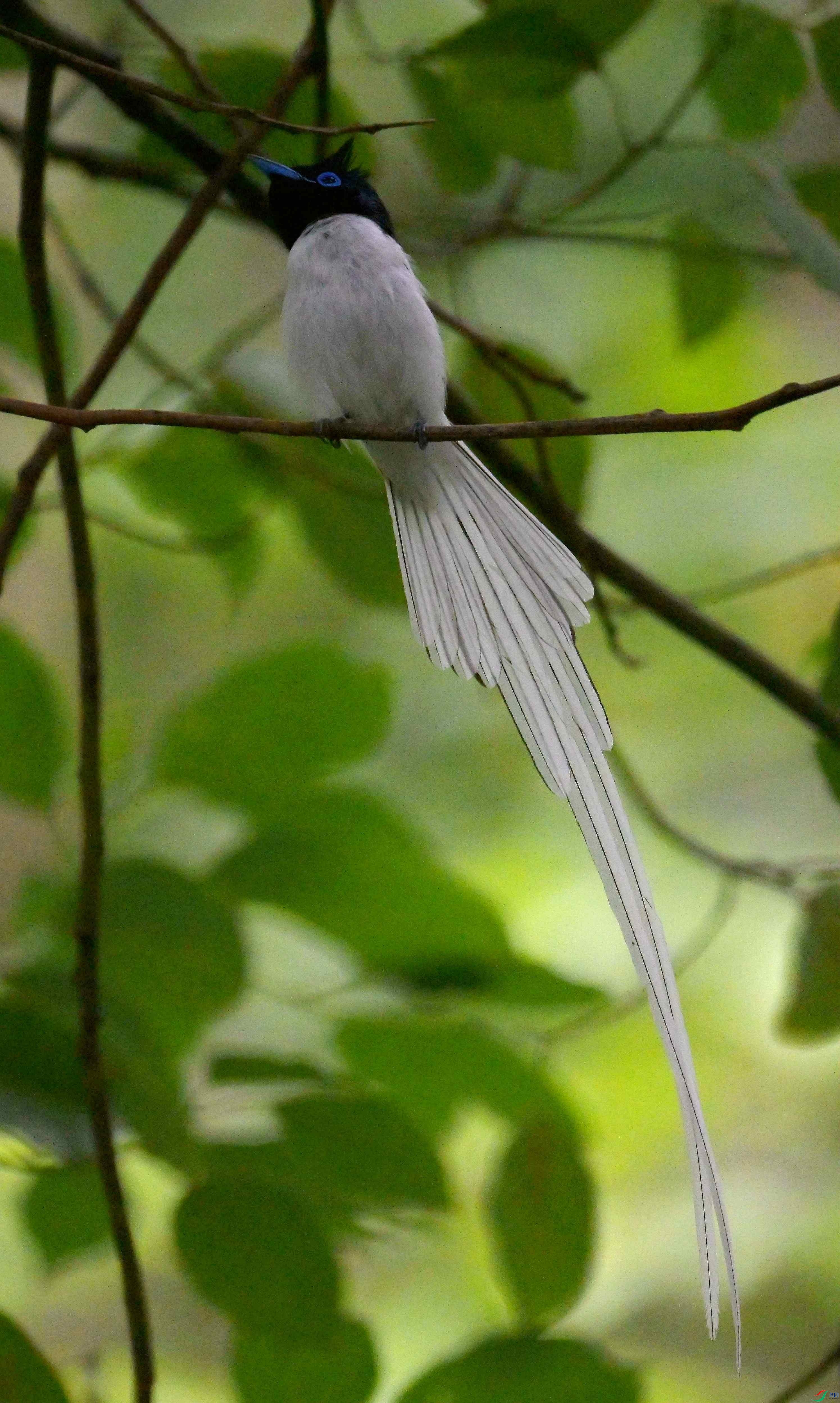 DSC_9492.jpg