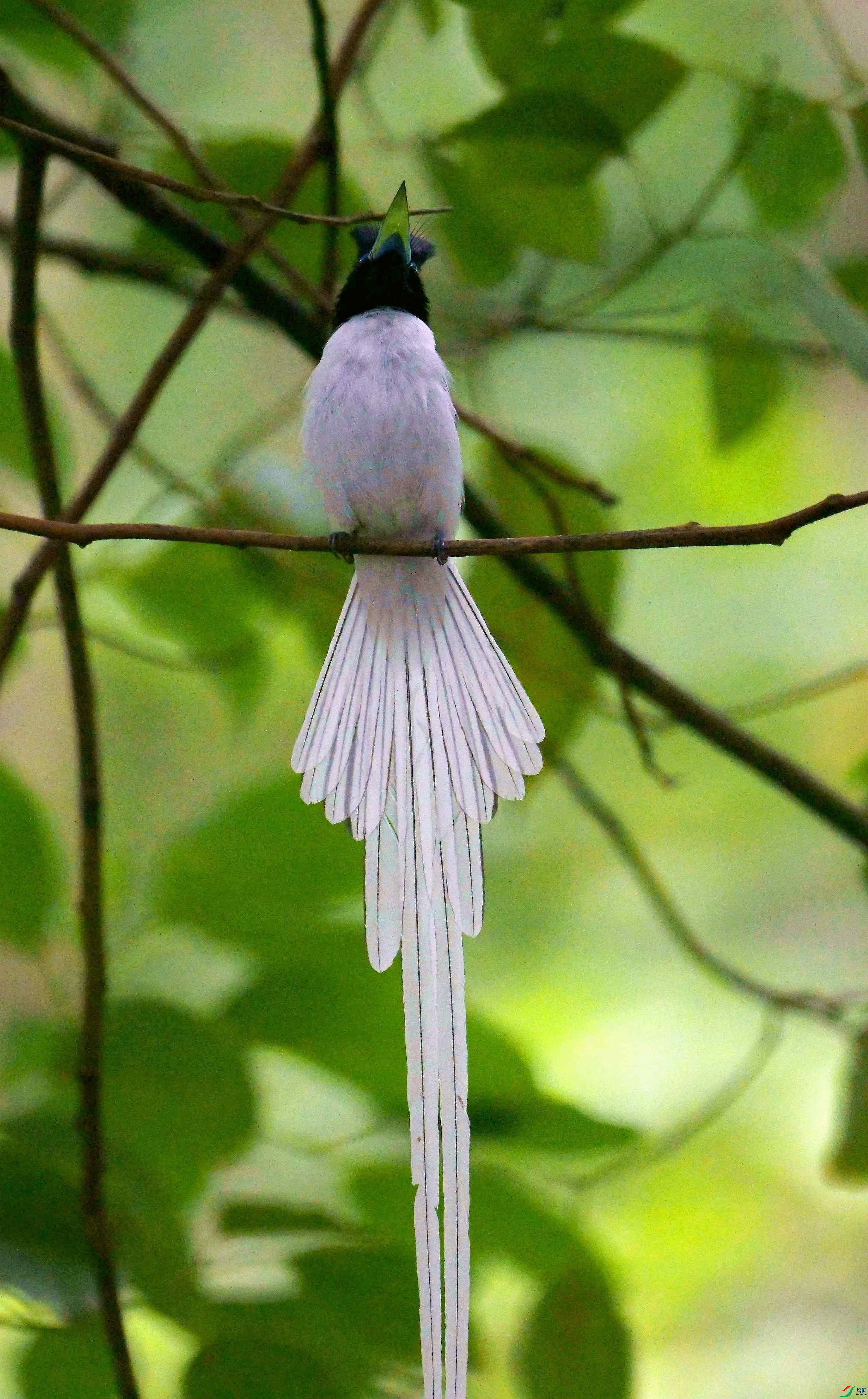DSC_9487.jpg