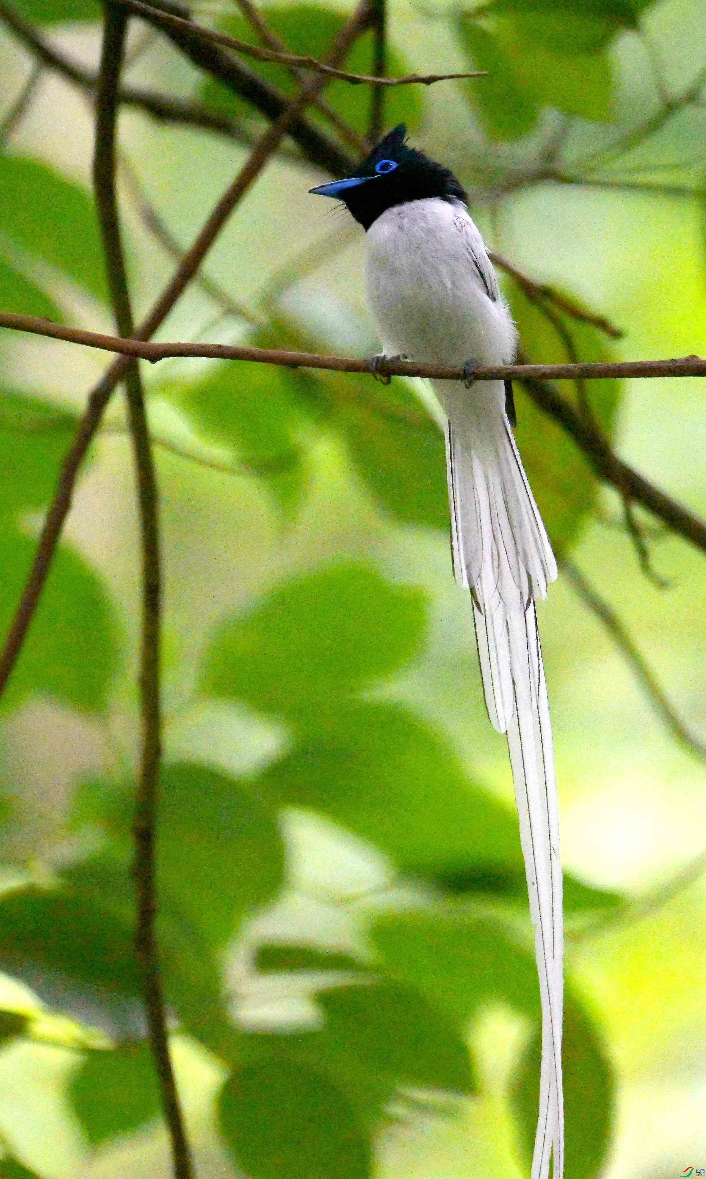 DSC_9527.jpg