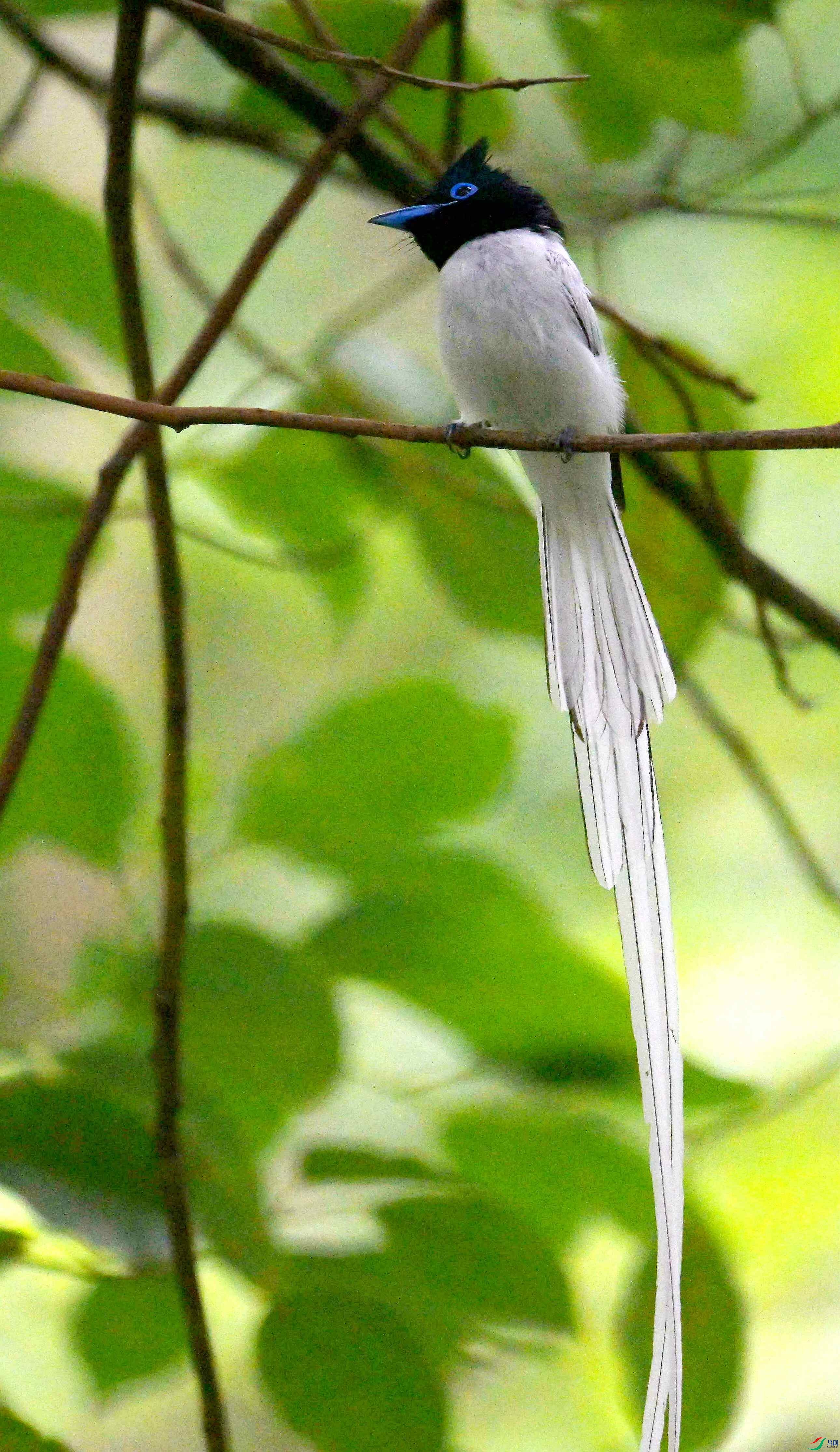 DSC_9529.jpg