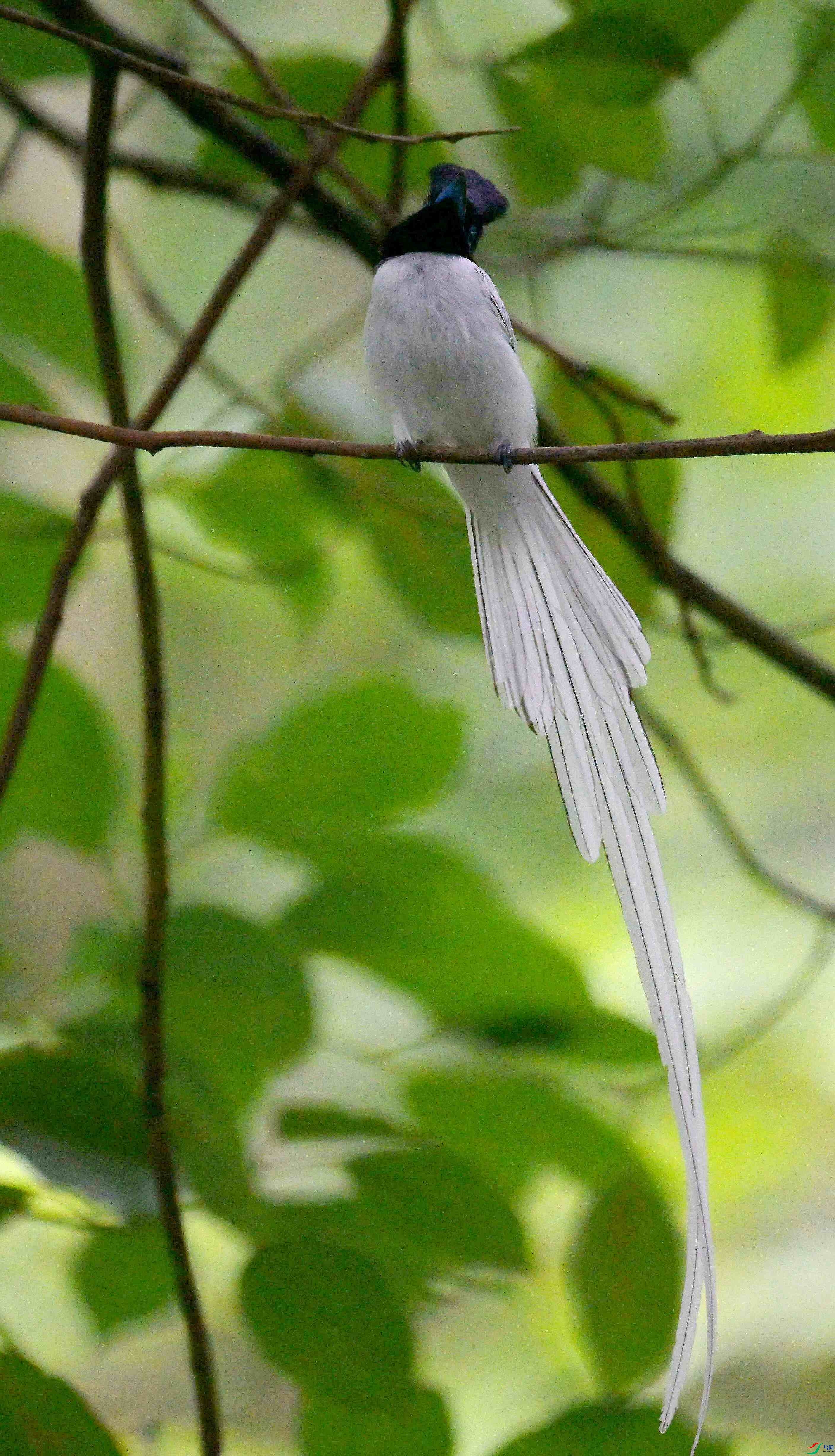 DSC_9506.jpg