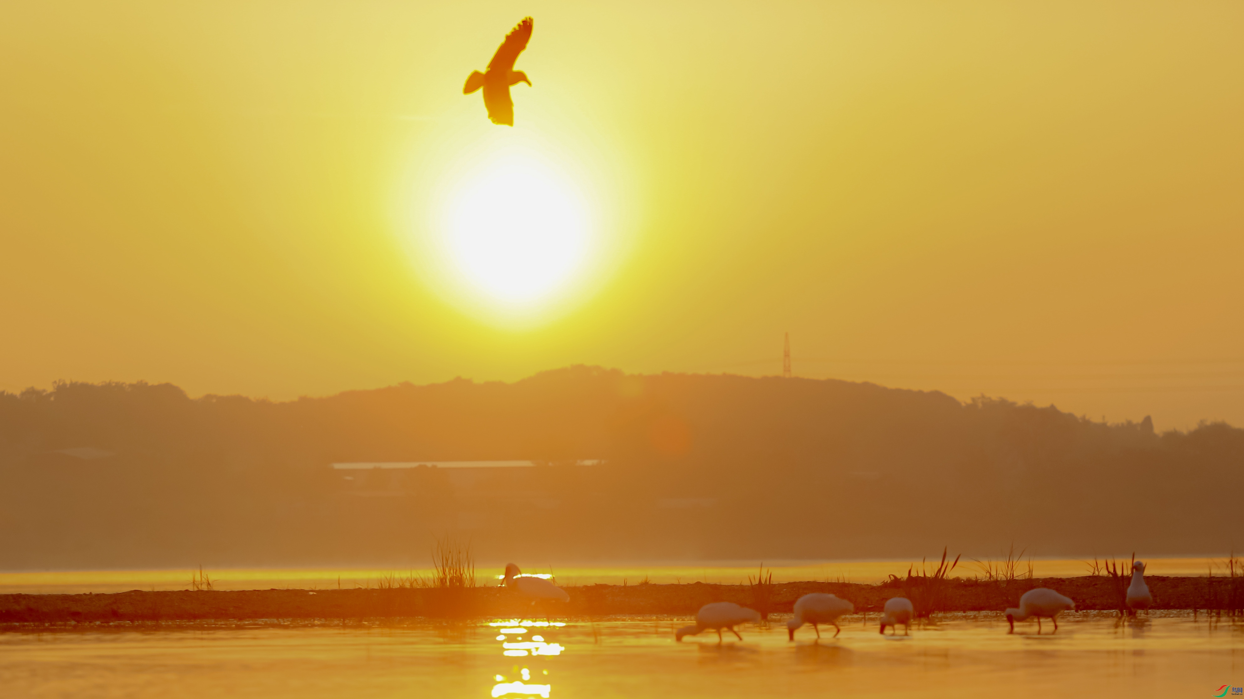 ���ն���