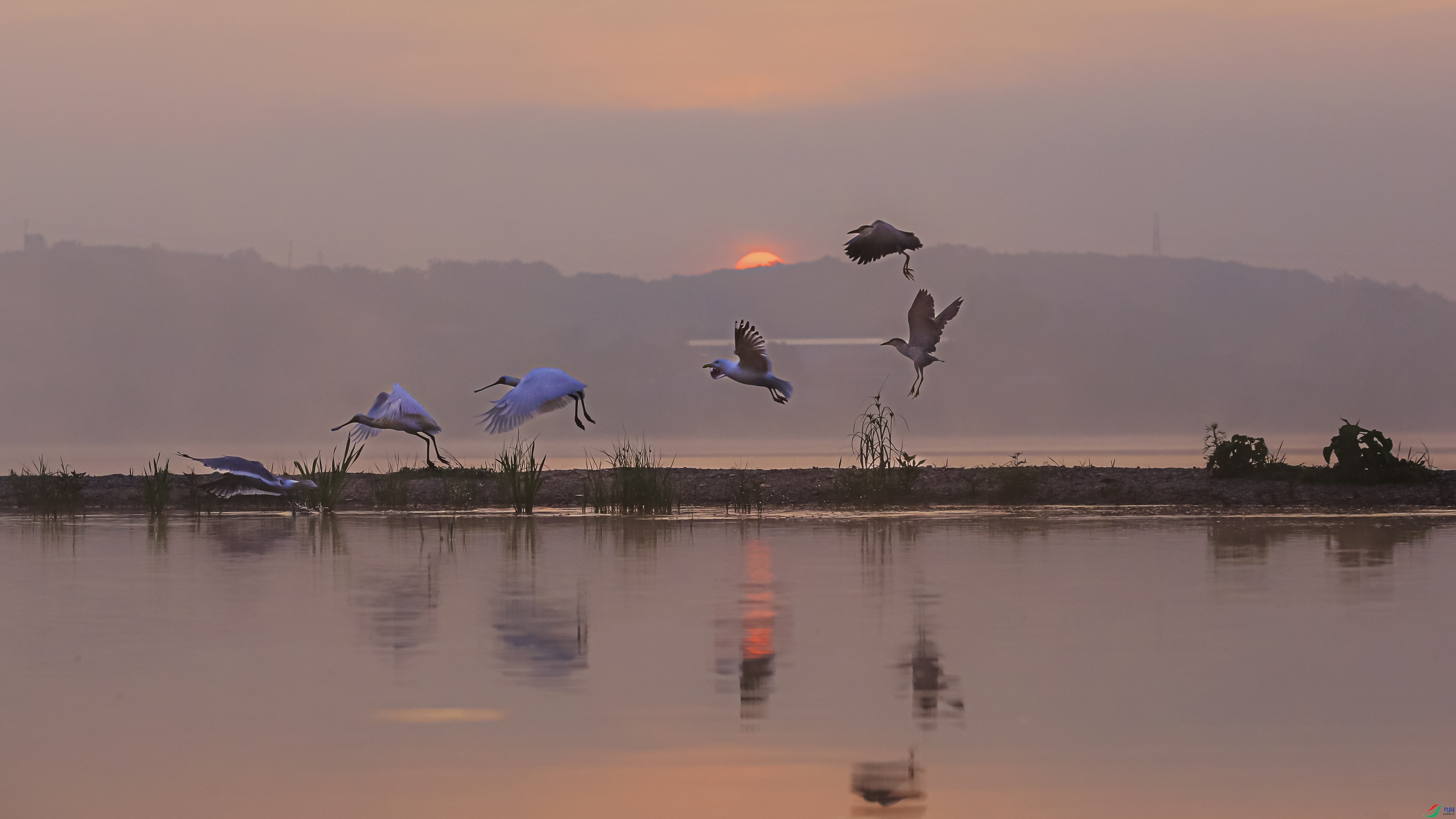 ���ս���