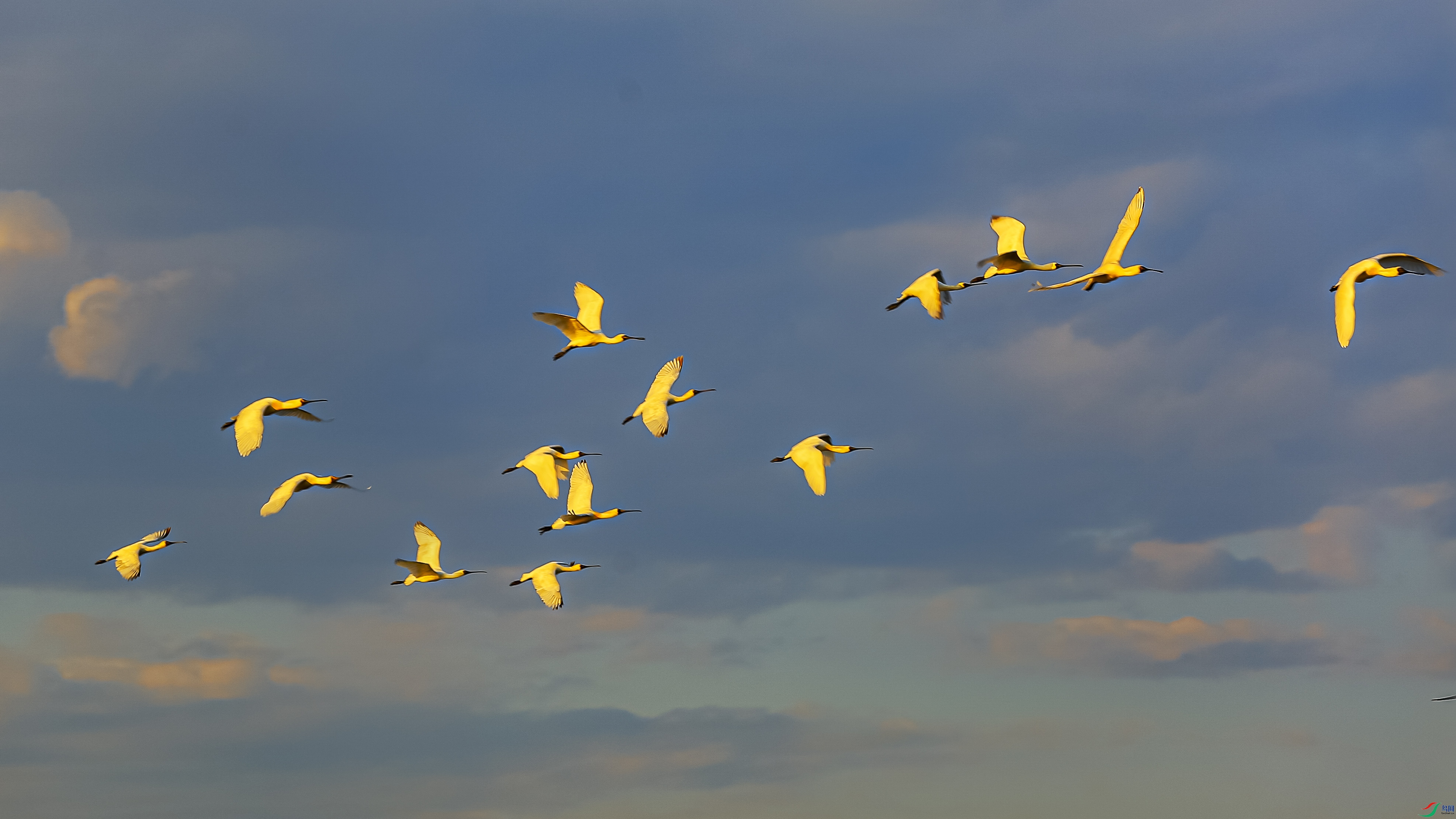 ��ϼ����