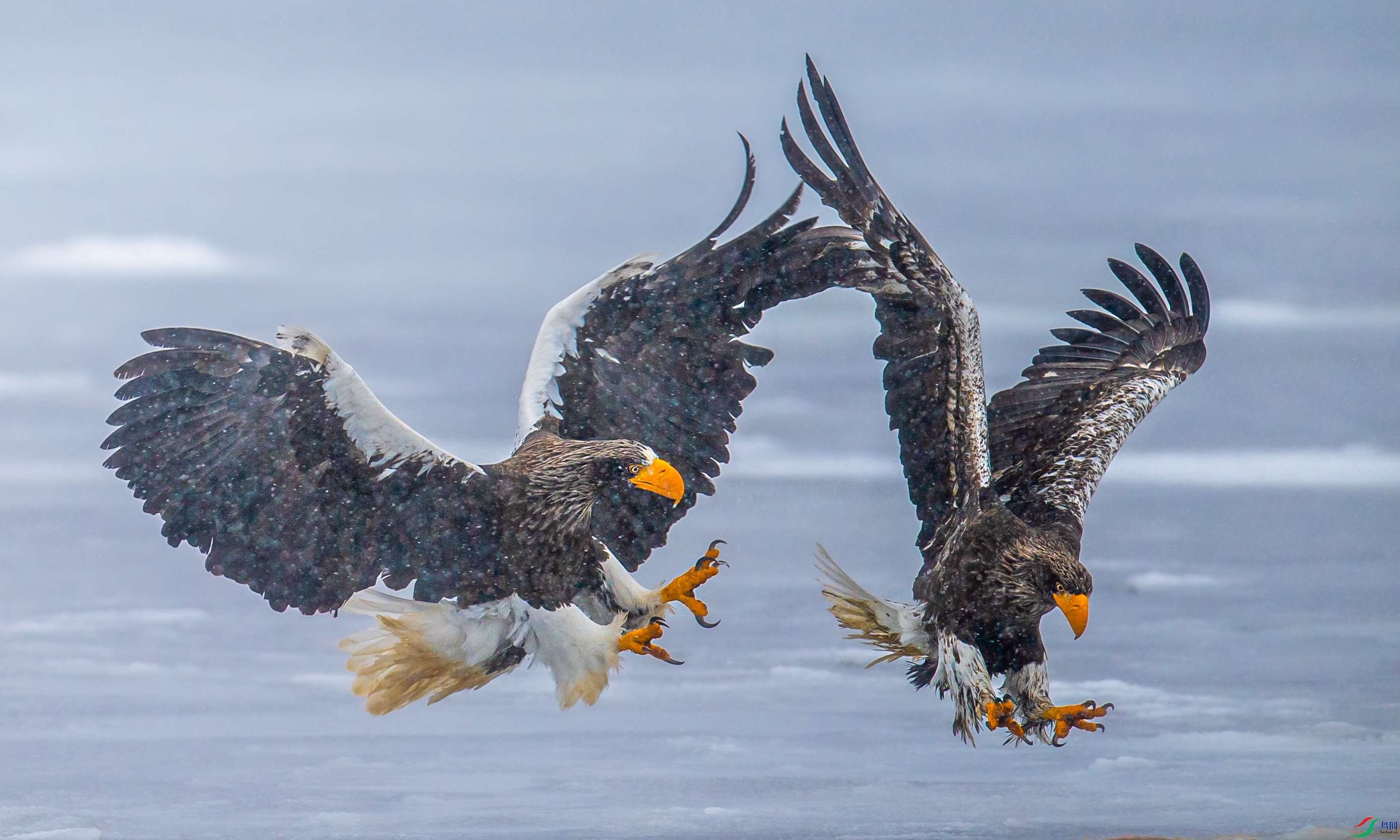DSC_5425-1.jpg