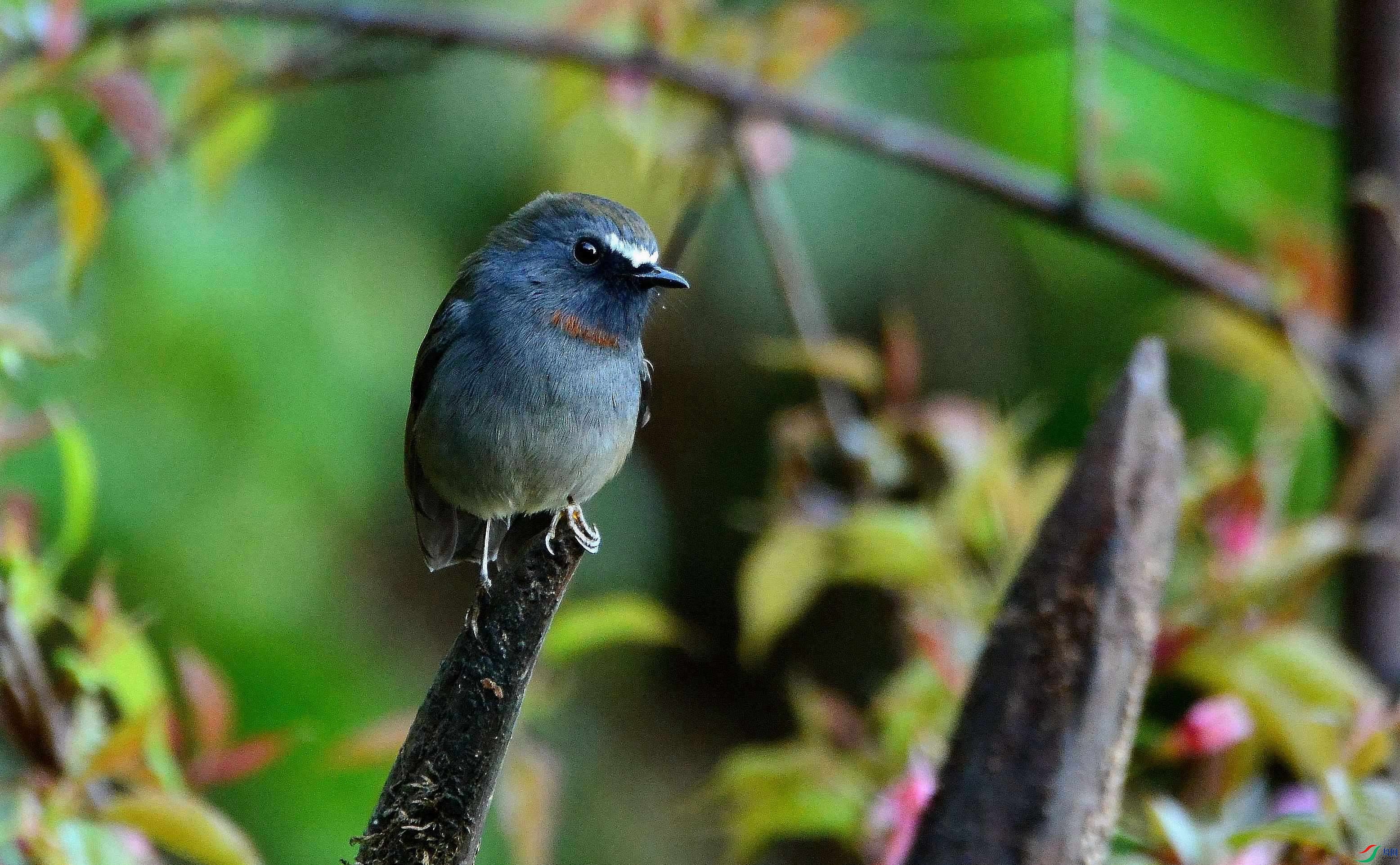 DSC_2390.JPG
