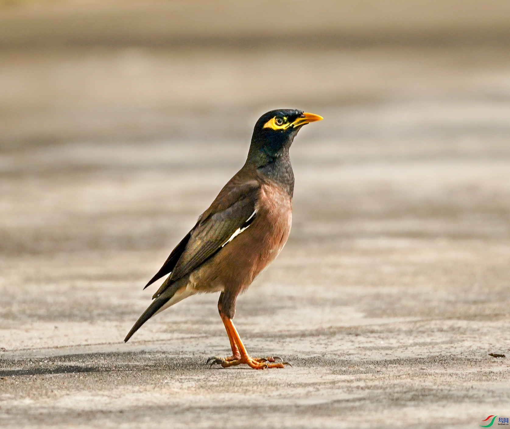 ��39122 λ�����1.jpg