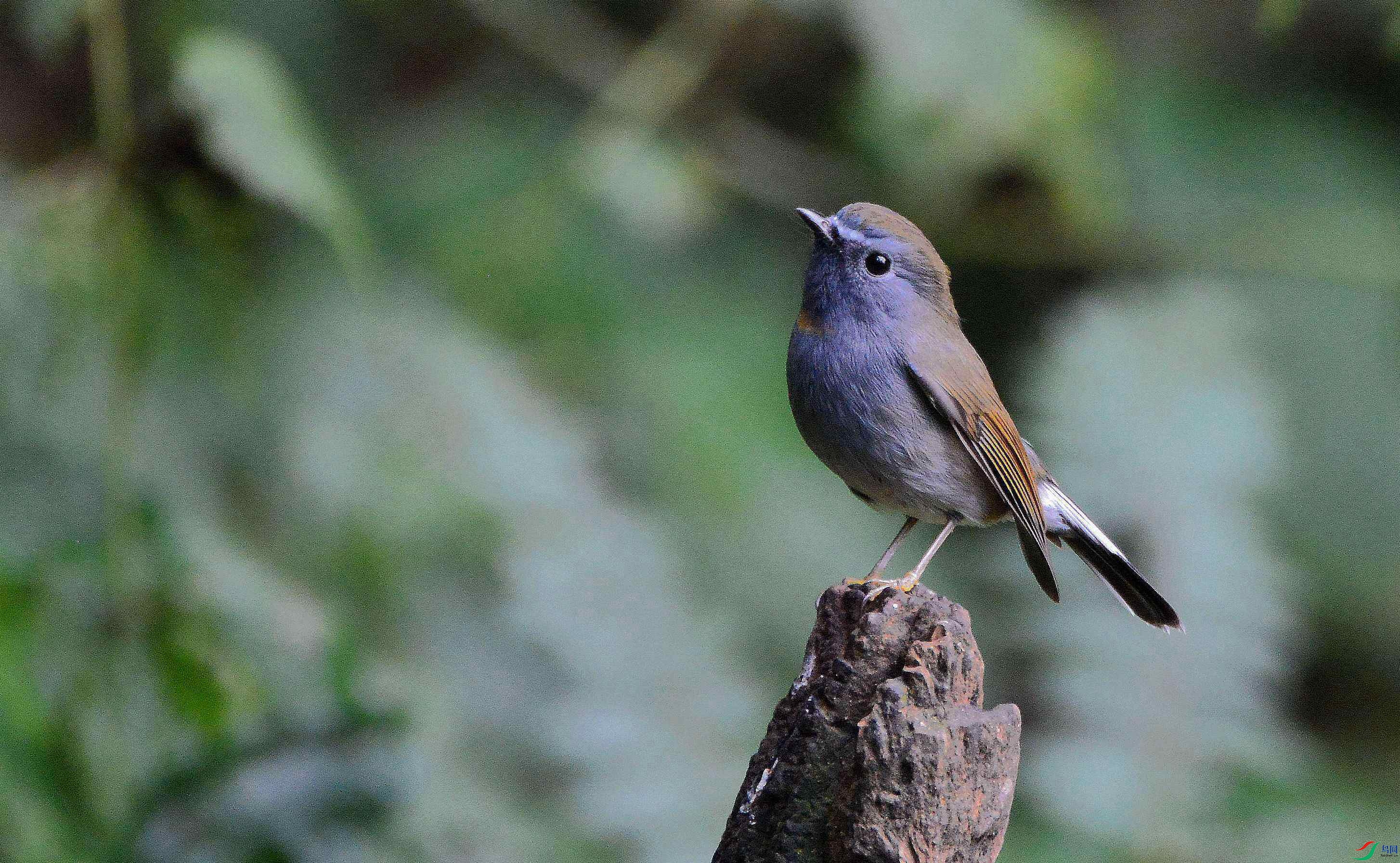 DSC_8857.JPG