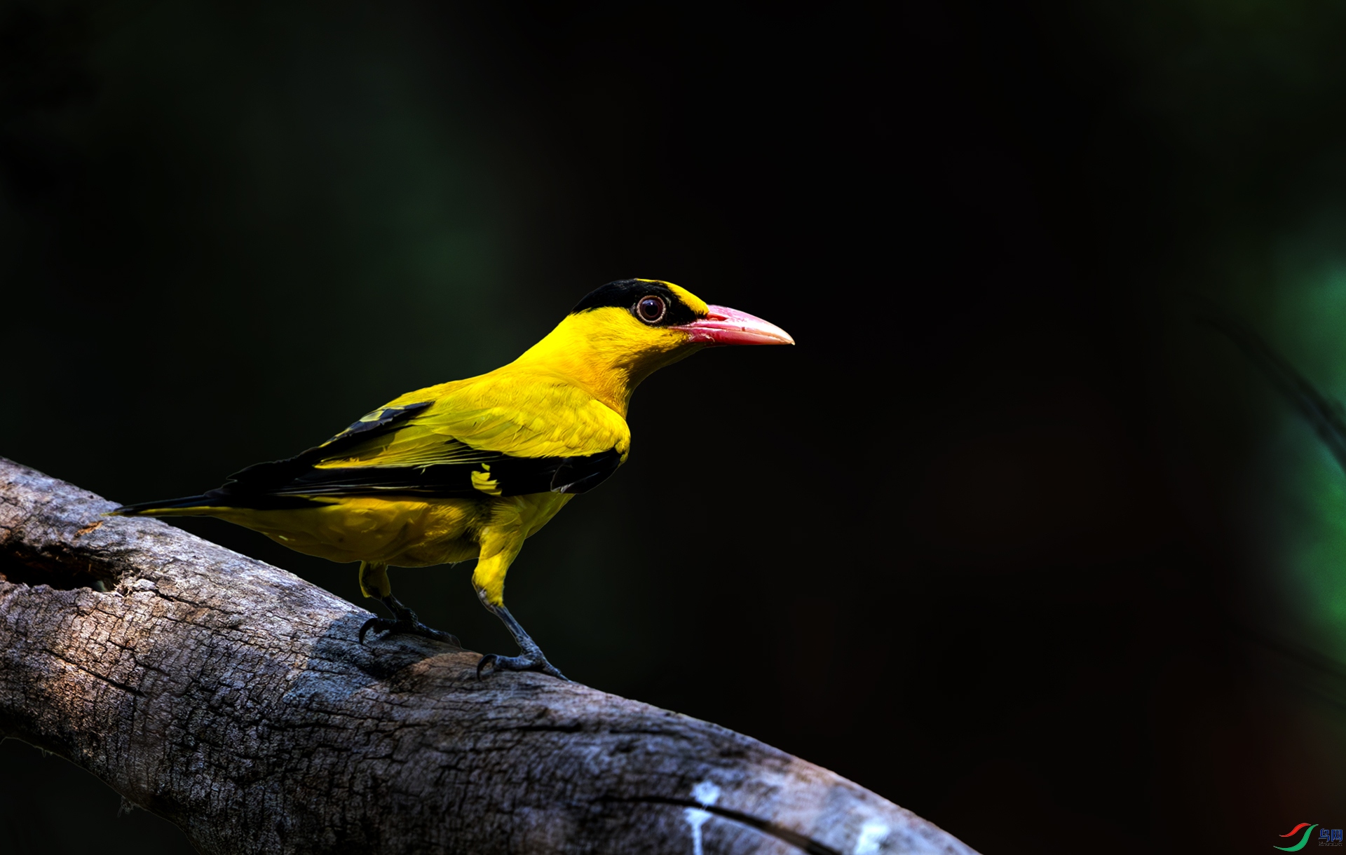 ����ʱ��