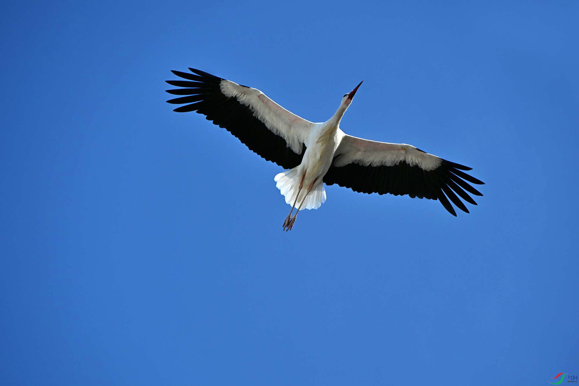 DSC_5705_.jpg