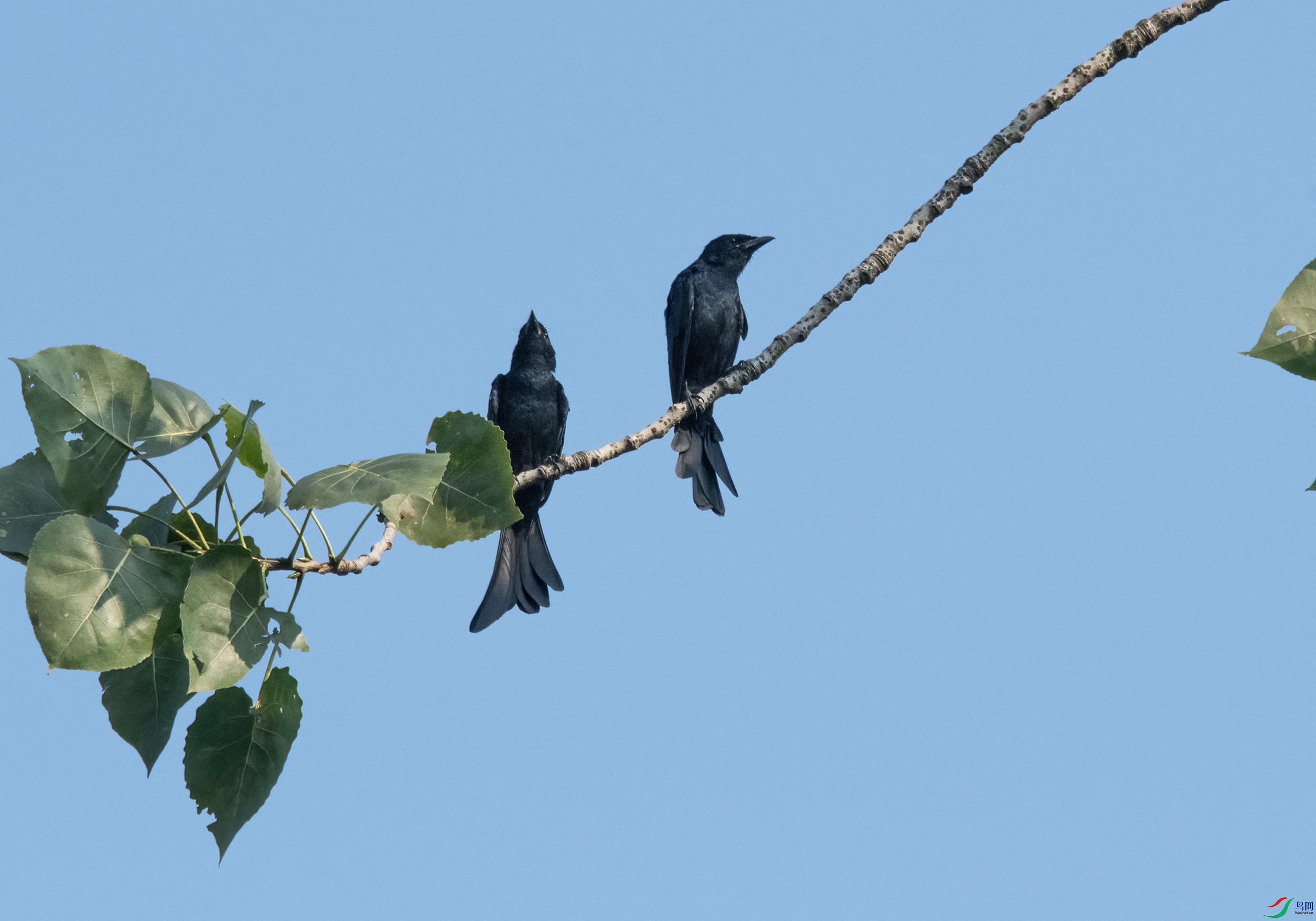 DSC_5683.jpg