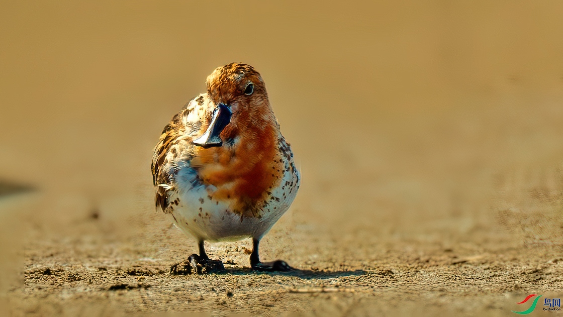 070418cpx000iqp0iyqbfz ����.jpg