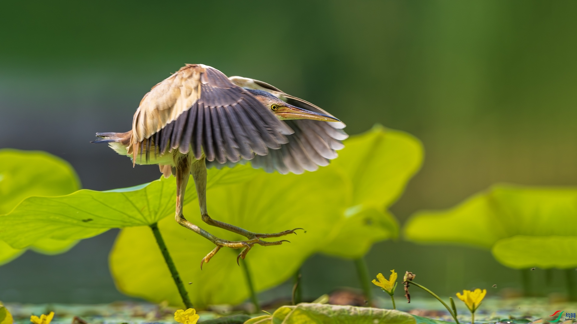 12_DSC3414-����ǿ-NR ���� 2.jpg