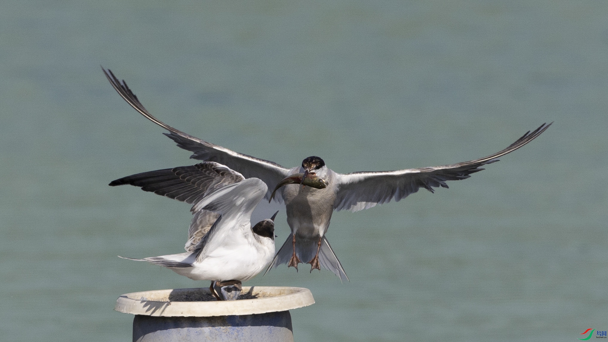 ��Ե�����