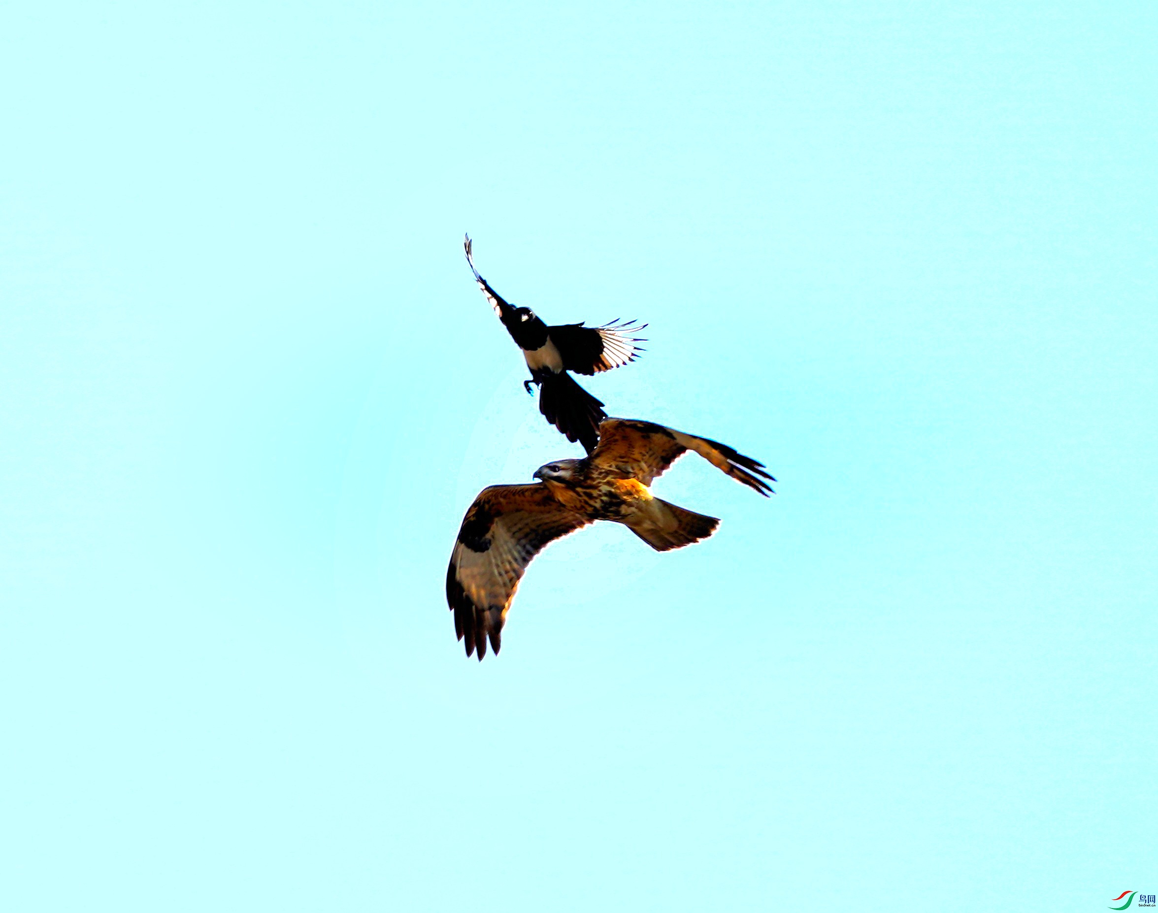 DSC07708-2022-12-5A.jpg