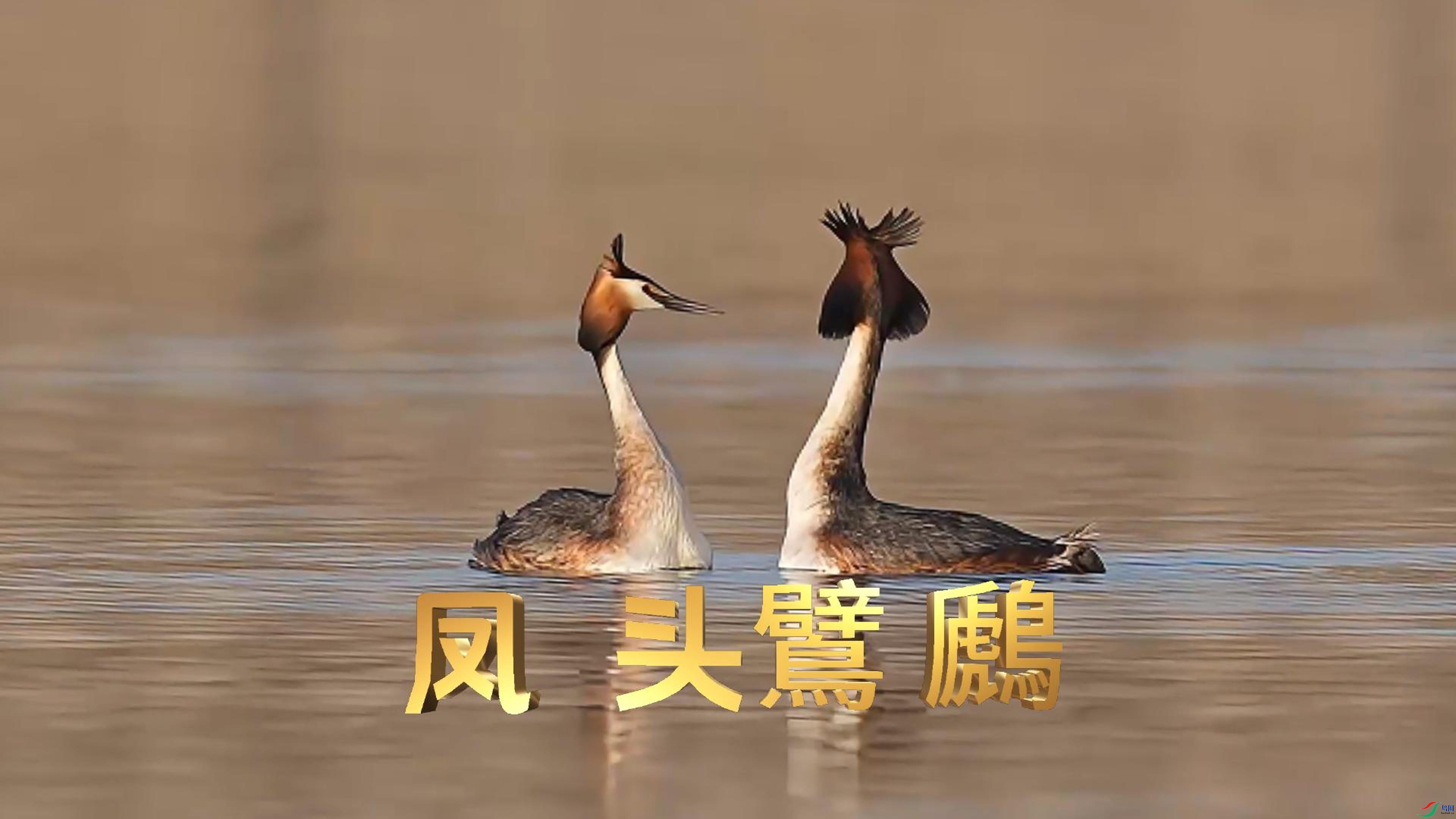 8��19�� (5)(2)-����.jpg