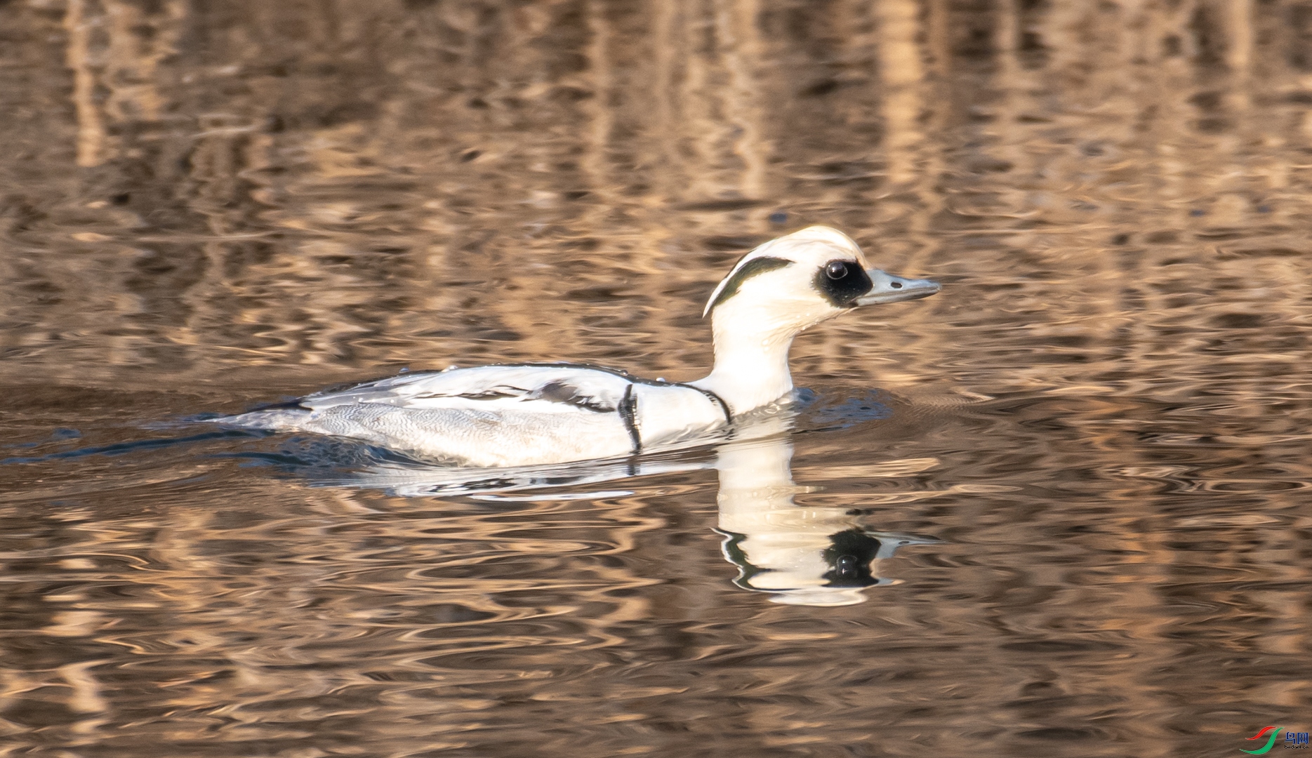 DSC_5322.jpg
