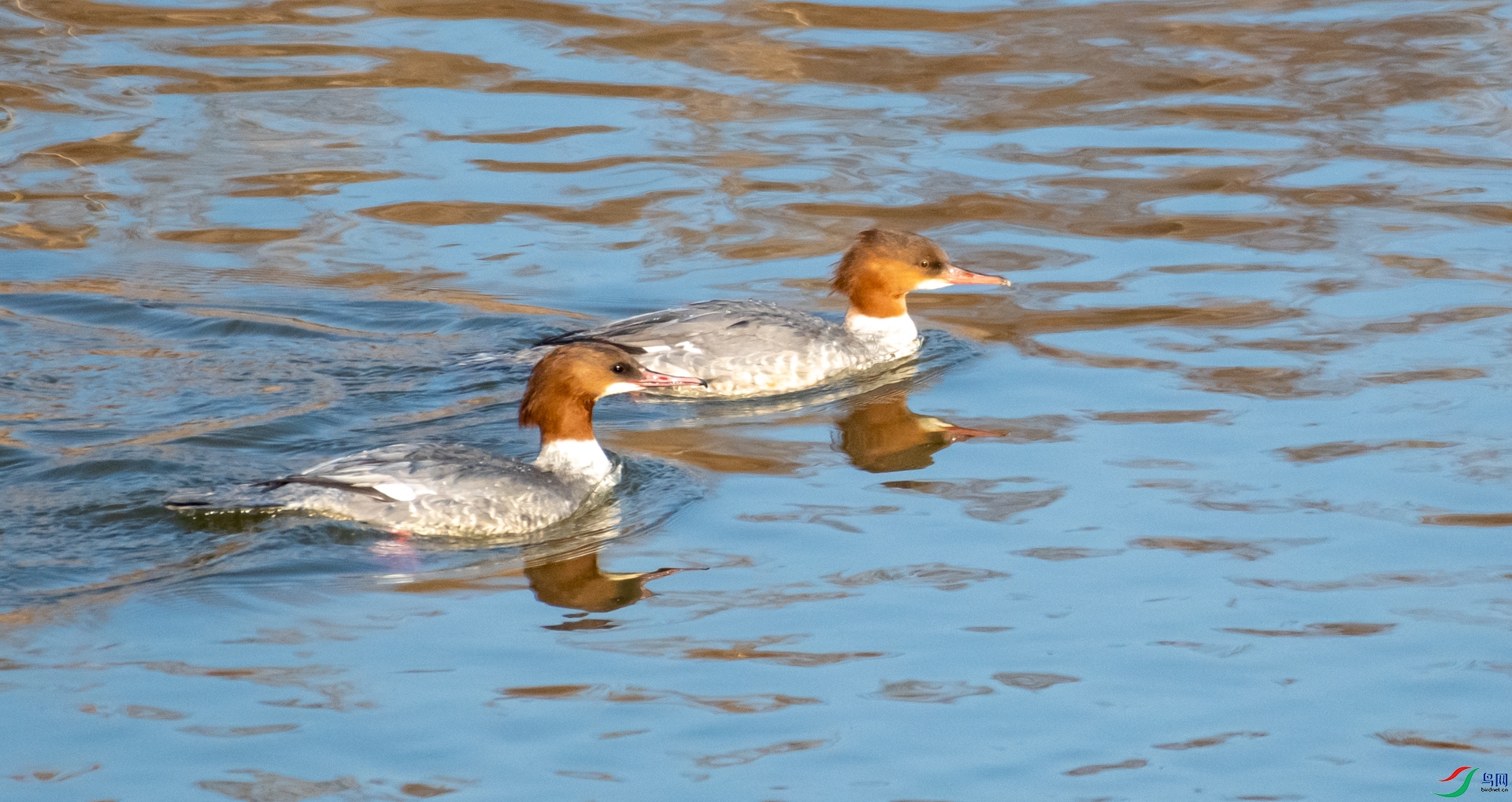 DSC_2671.jpg