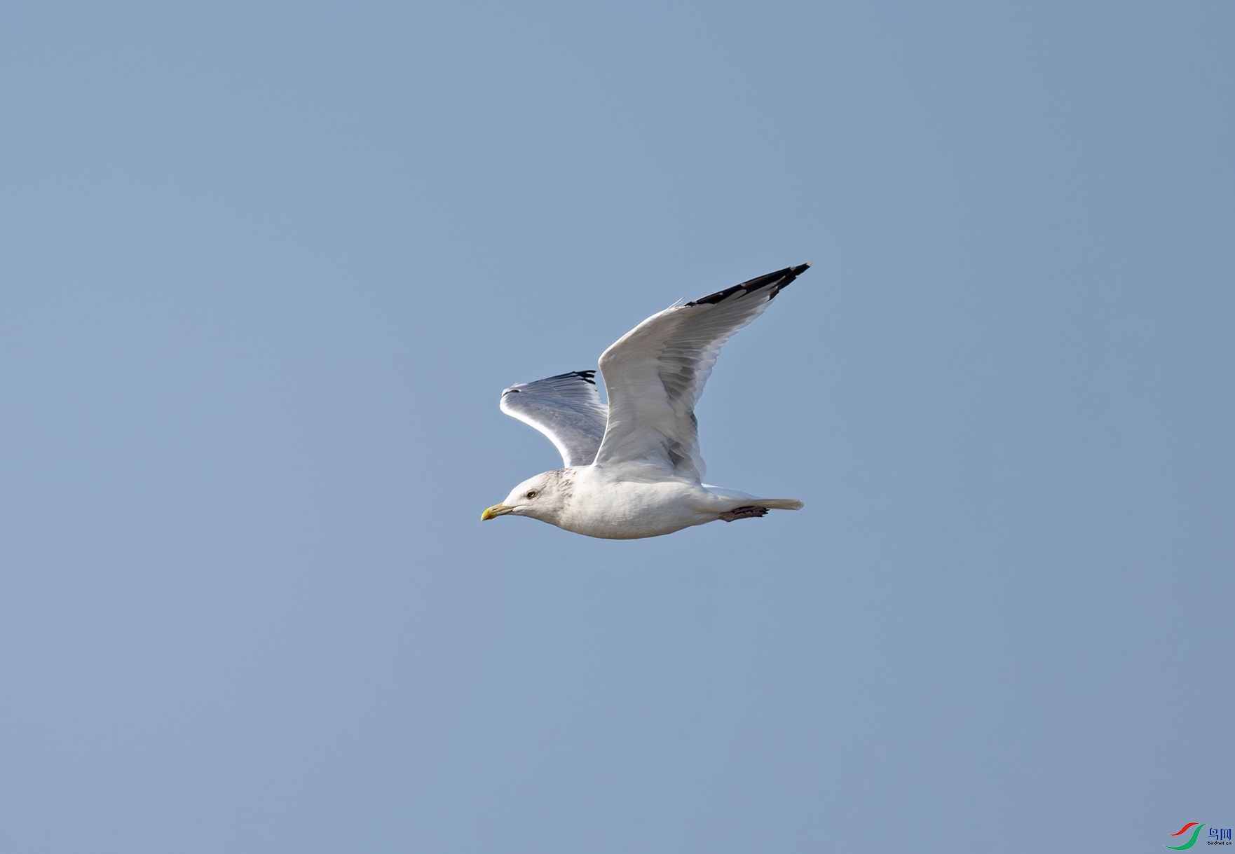 _DSC8423f.jpg
