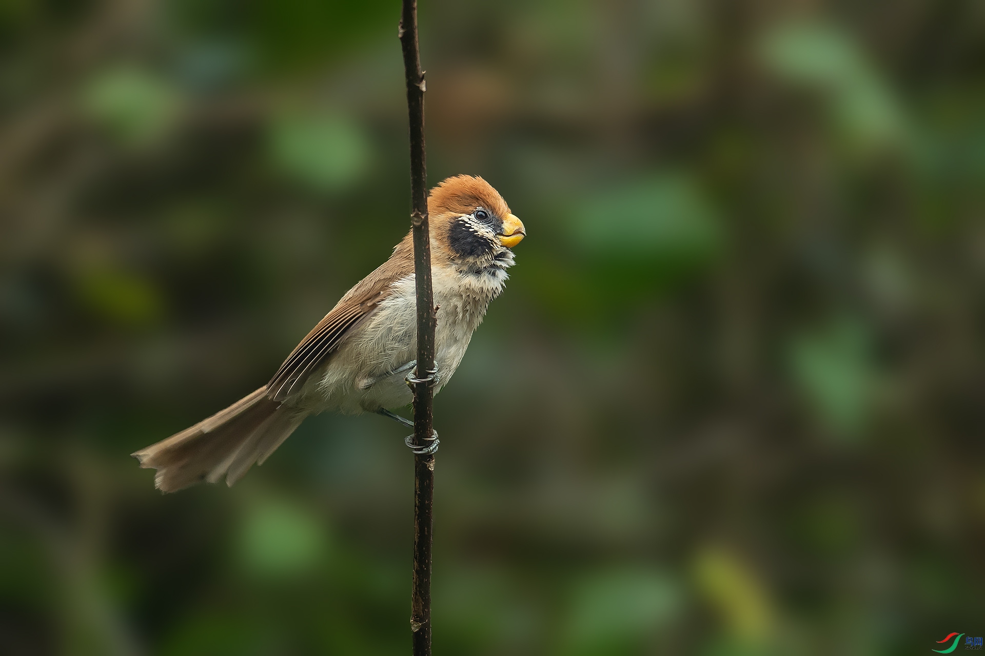 DSC_8221.jpg