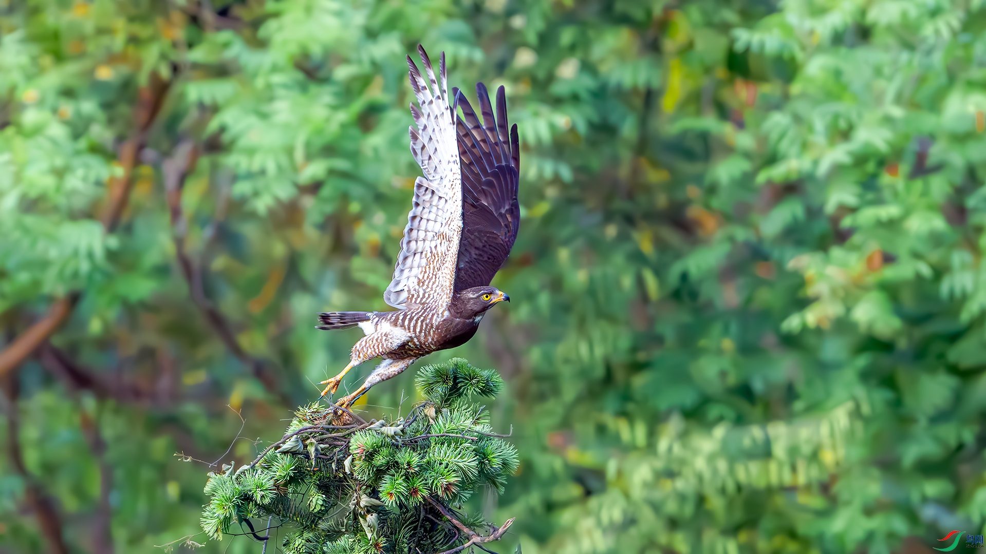 DSC_8456.jpg