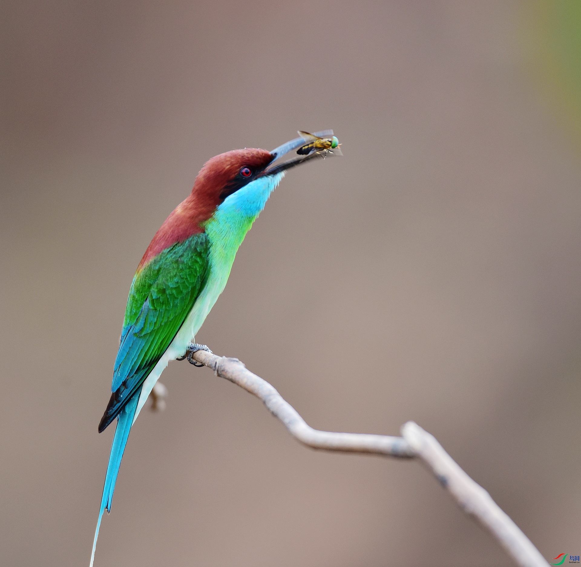 D8I_9855.jpg