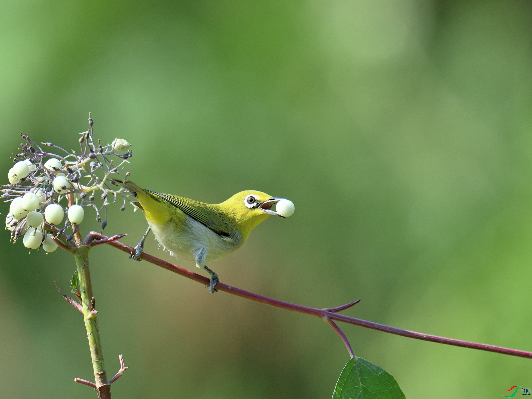 DSC_3058.JPG