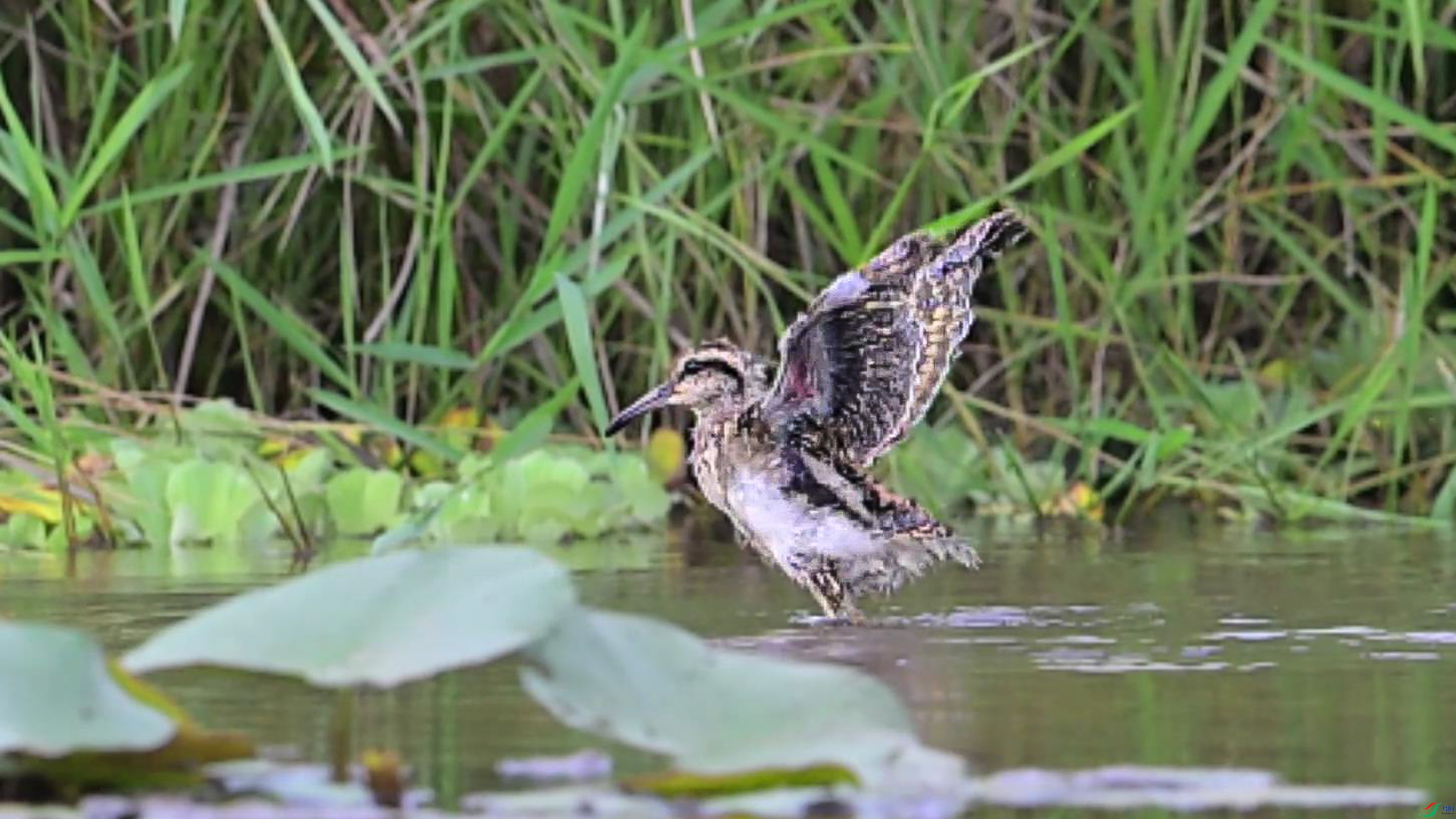 2024-08-20 22-47-14_1.jpg