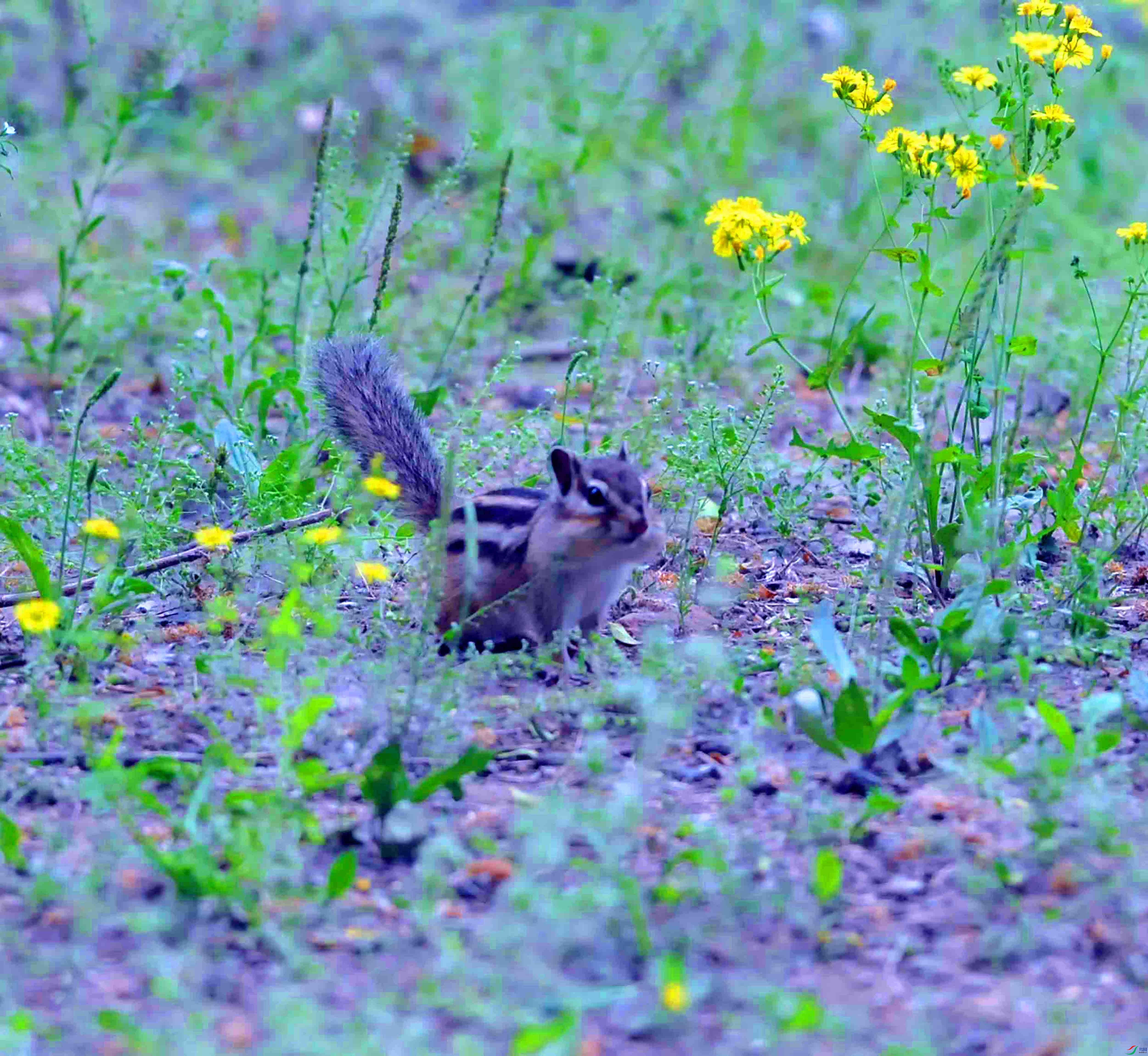 DSC_8026.JPG