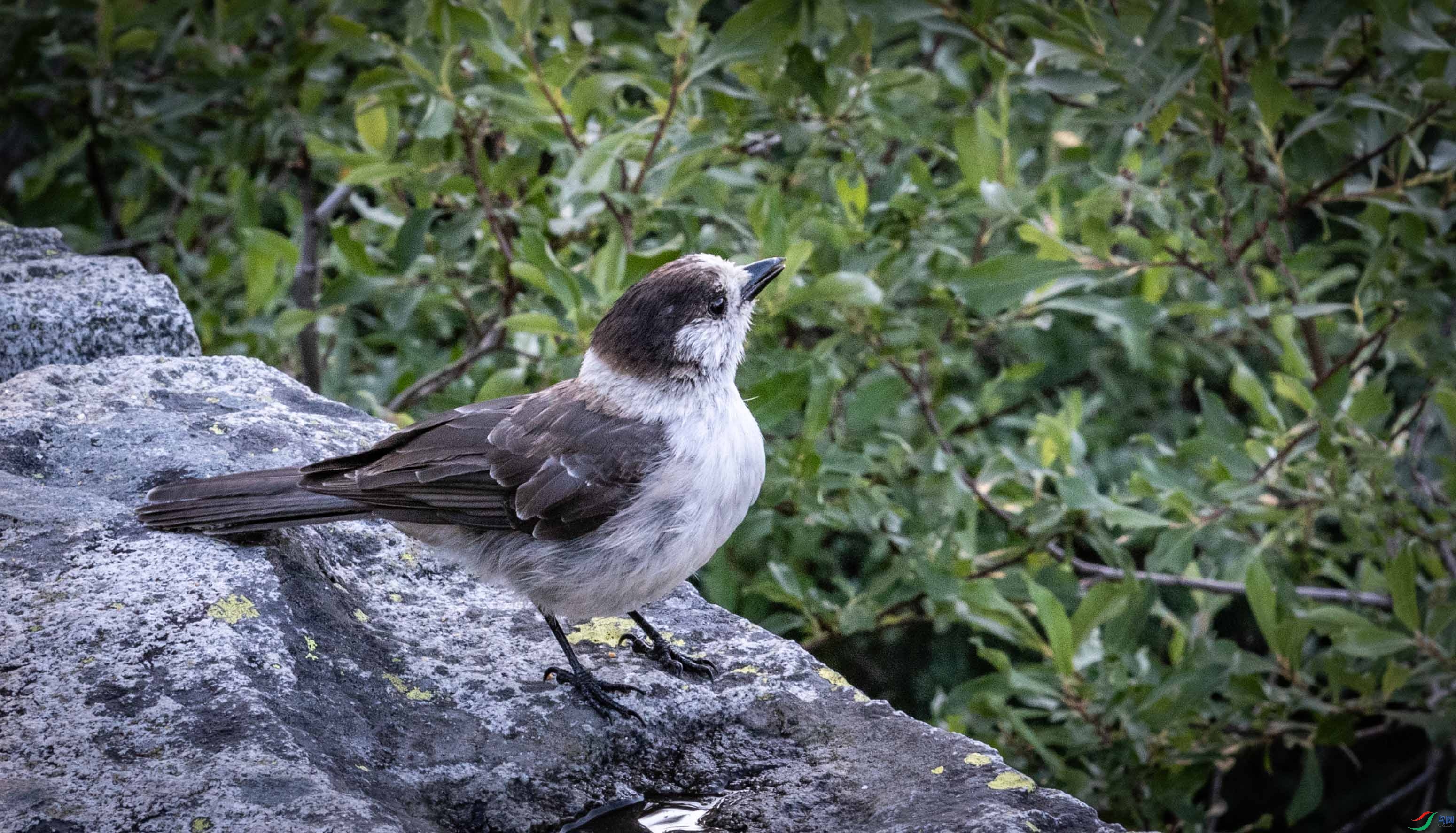 DSC_0543 ����2.jpg