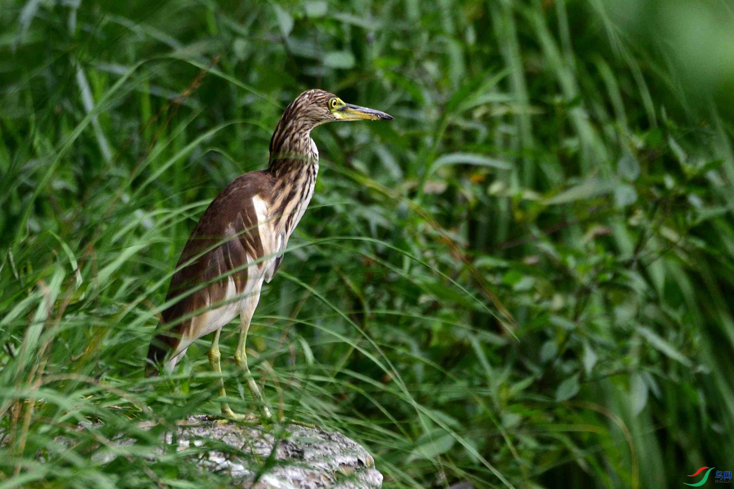 DSC_6034.JPG