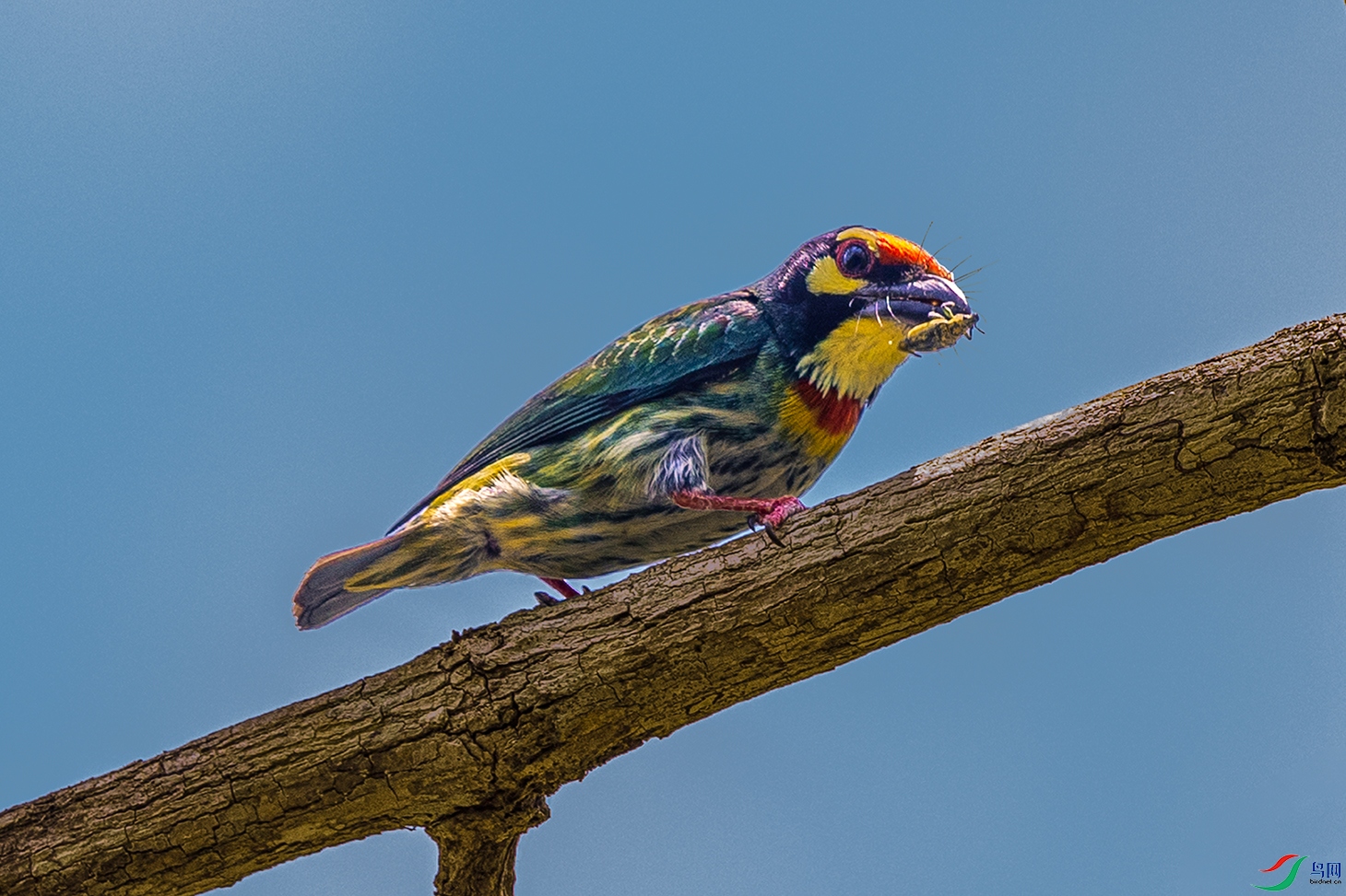 ��������ľ��----��һ��ս��Ʒ