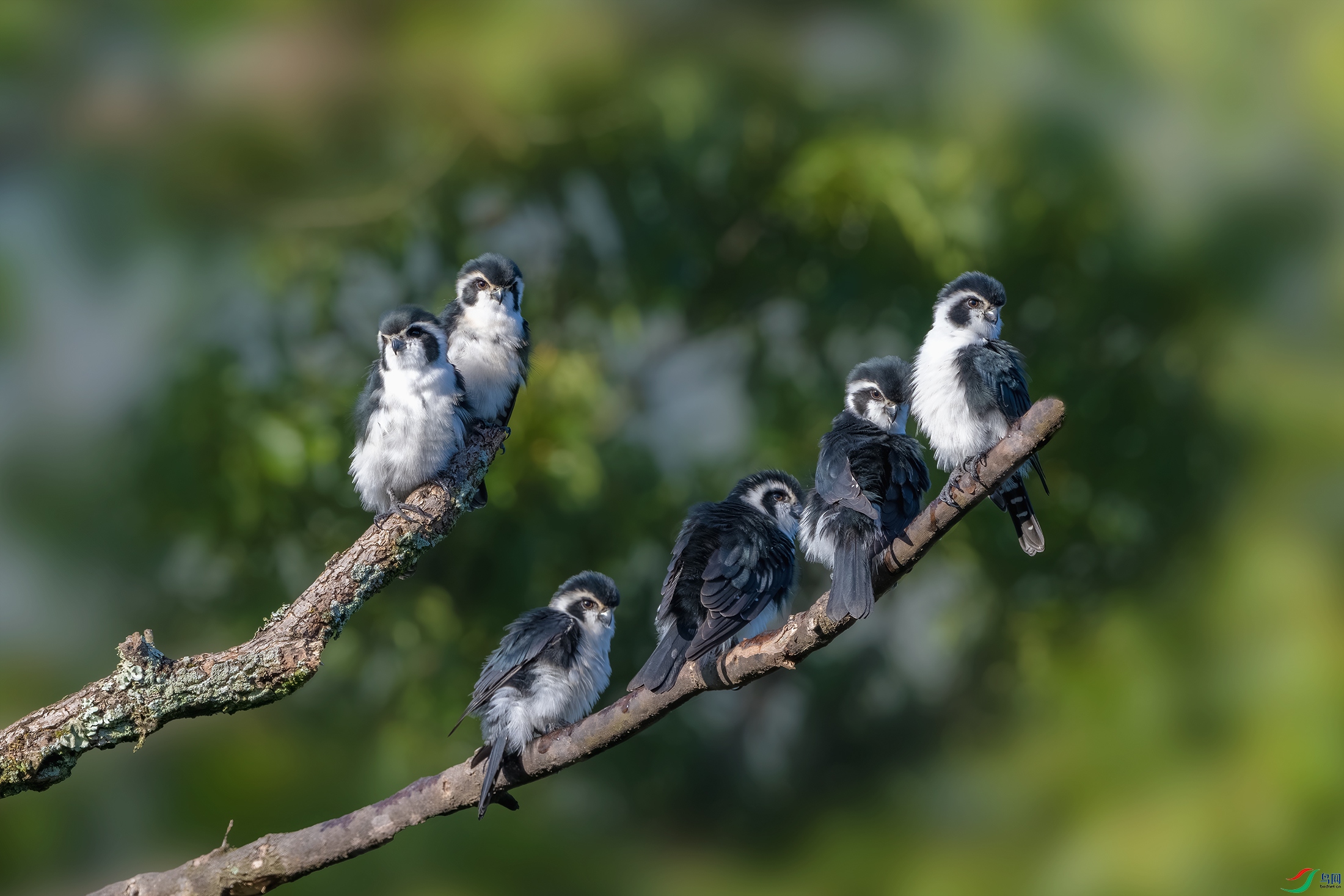 DSC_0258-����ǿ-NR ����.jpg