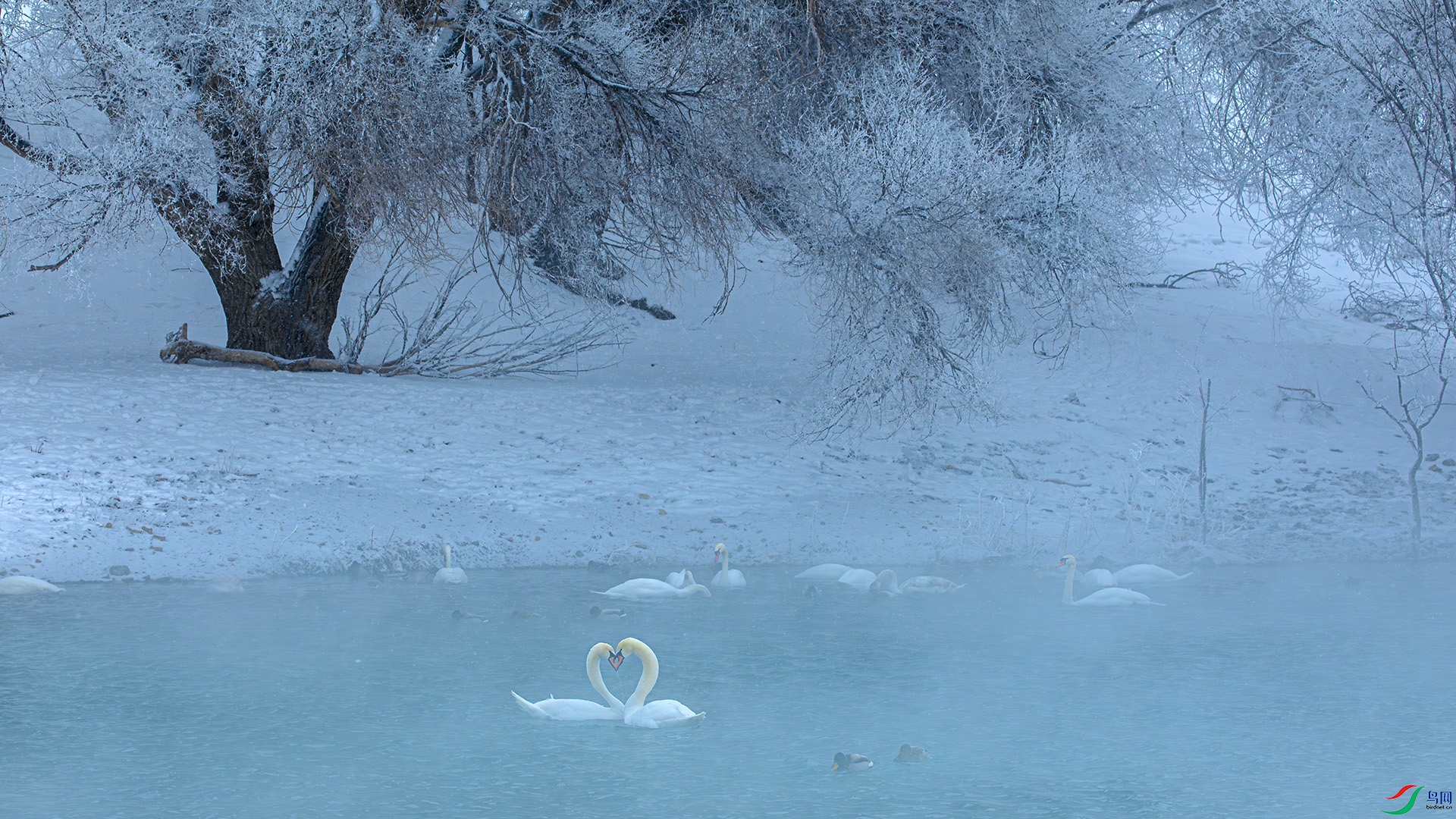 ��������ӡ��