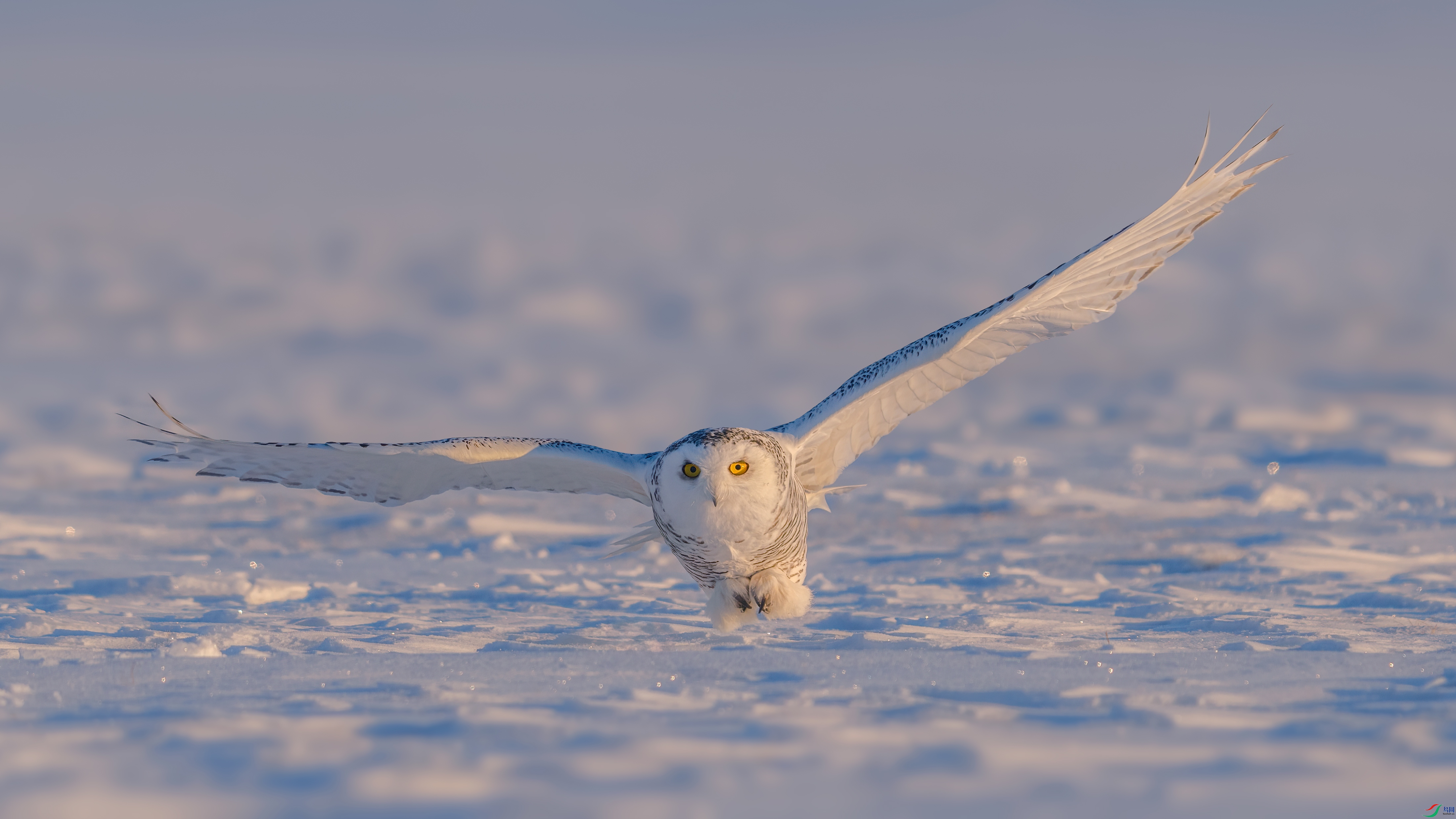 DSC06346 ����.jpg